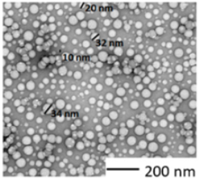 Nanomaterials 12 02730 i001
