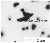 Nanomaterials 12 02730 i002