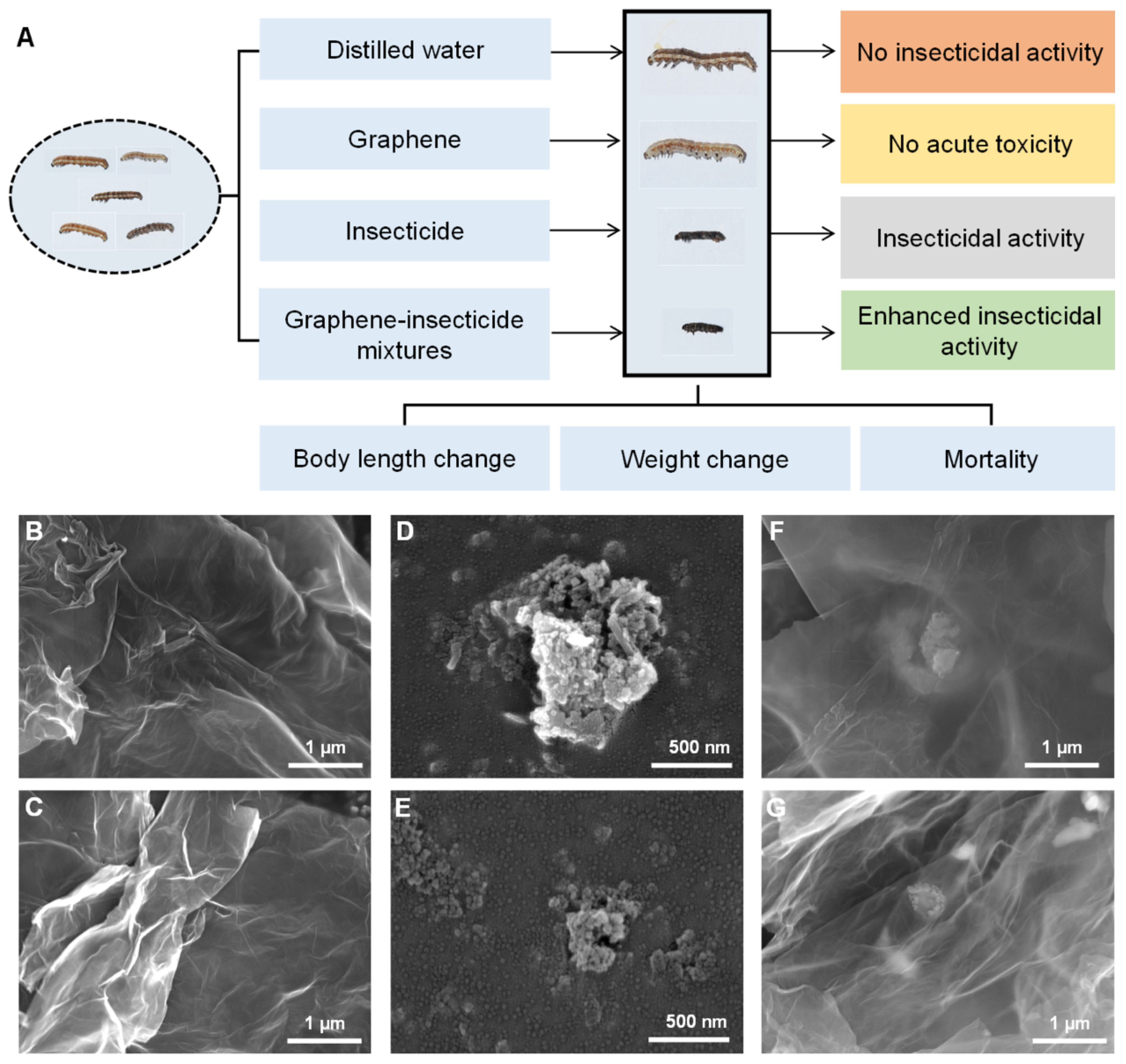 Nanomaterials 12 02731 g001