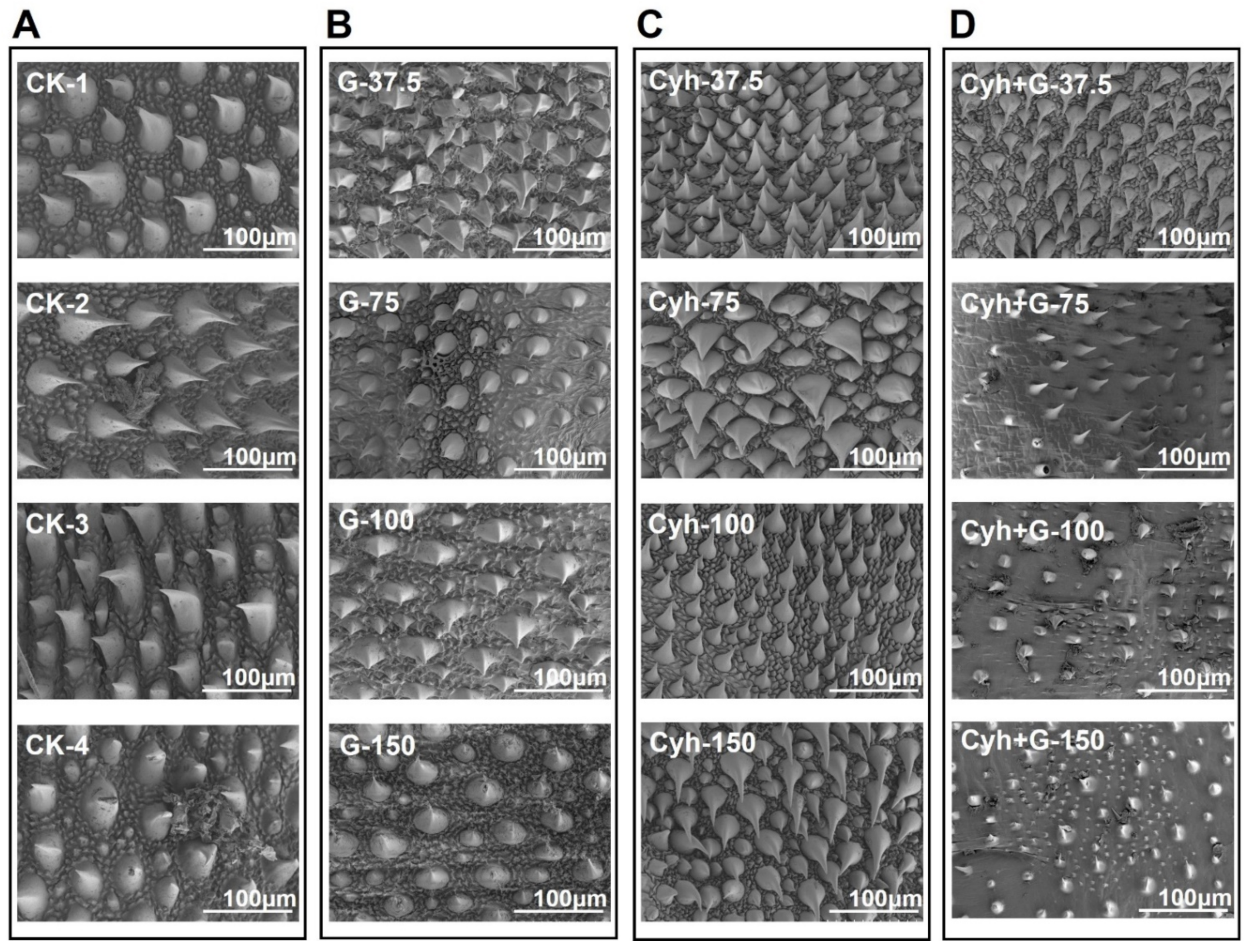 Nanomaterials 12 02731 g008