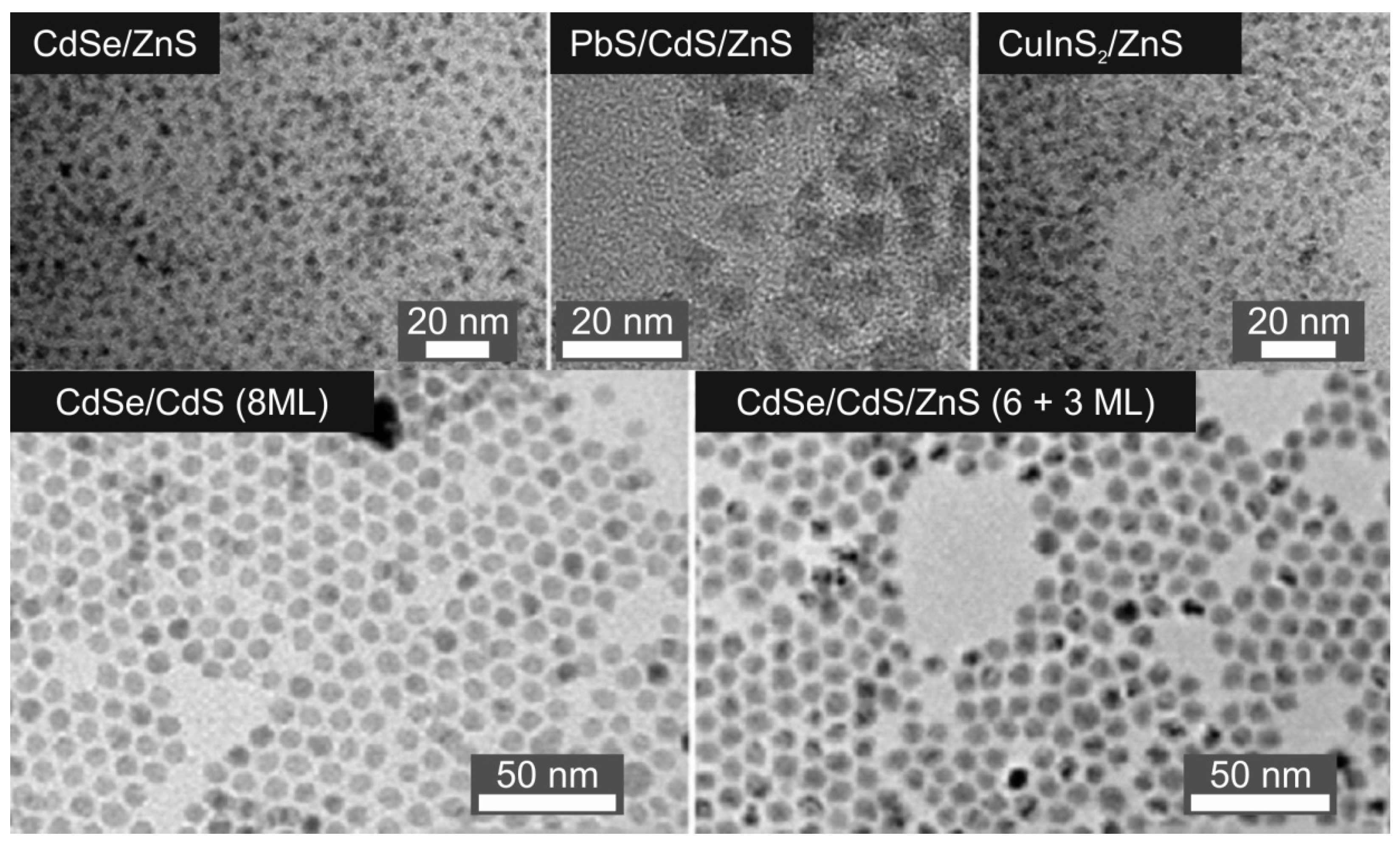 Nanomaterials Free FullText Dependence of Quantum Dot Toxicity In