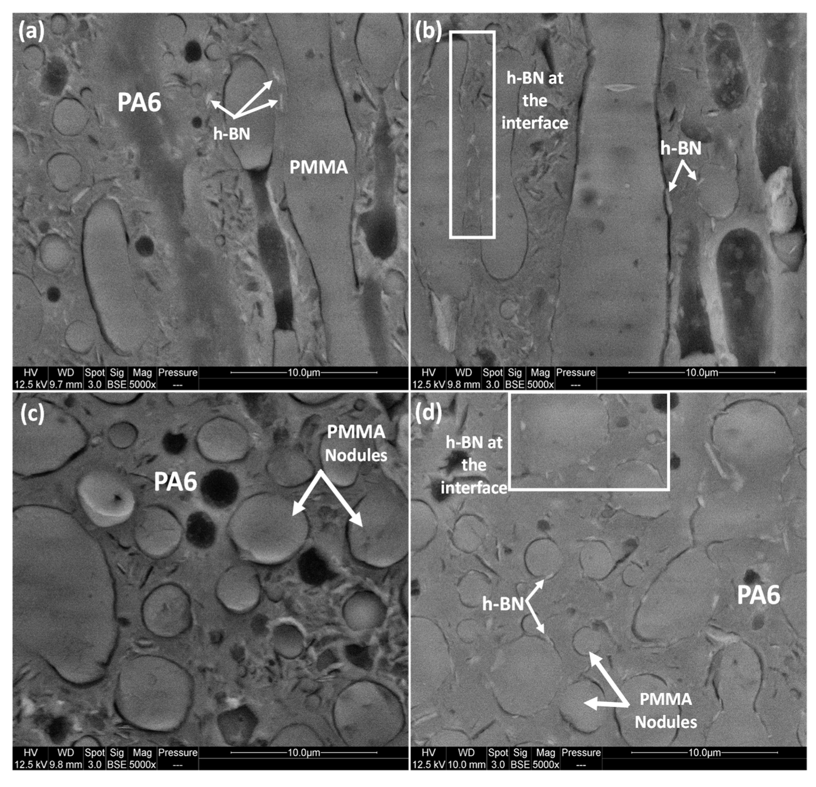 Nanomaterials 12 02735 g014