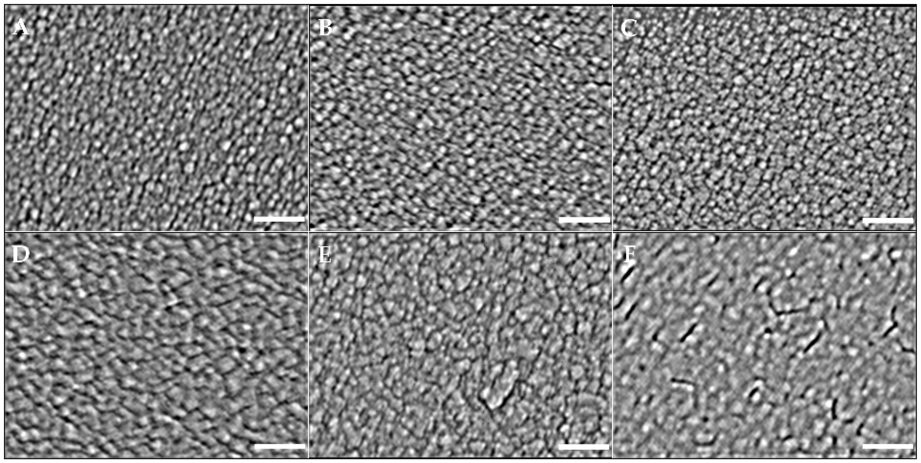 Nanomaterials 12 02742 g003 550