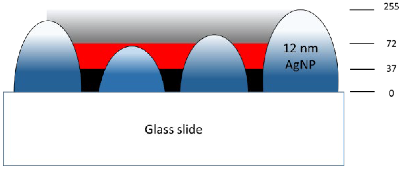 Nanomaterials 12 02742 g012 550
