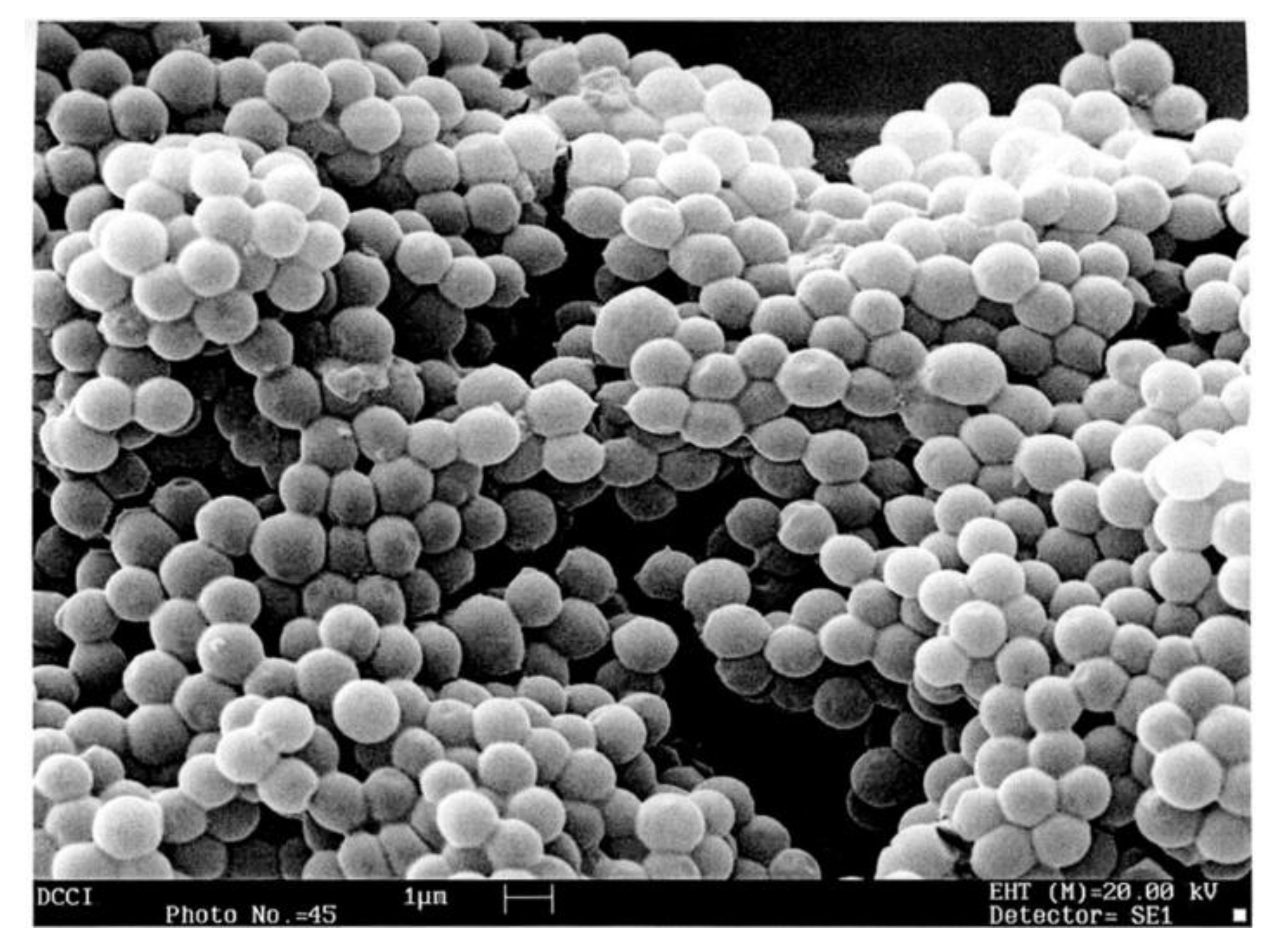 Nanomaterials 12 02743 g008