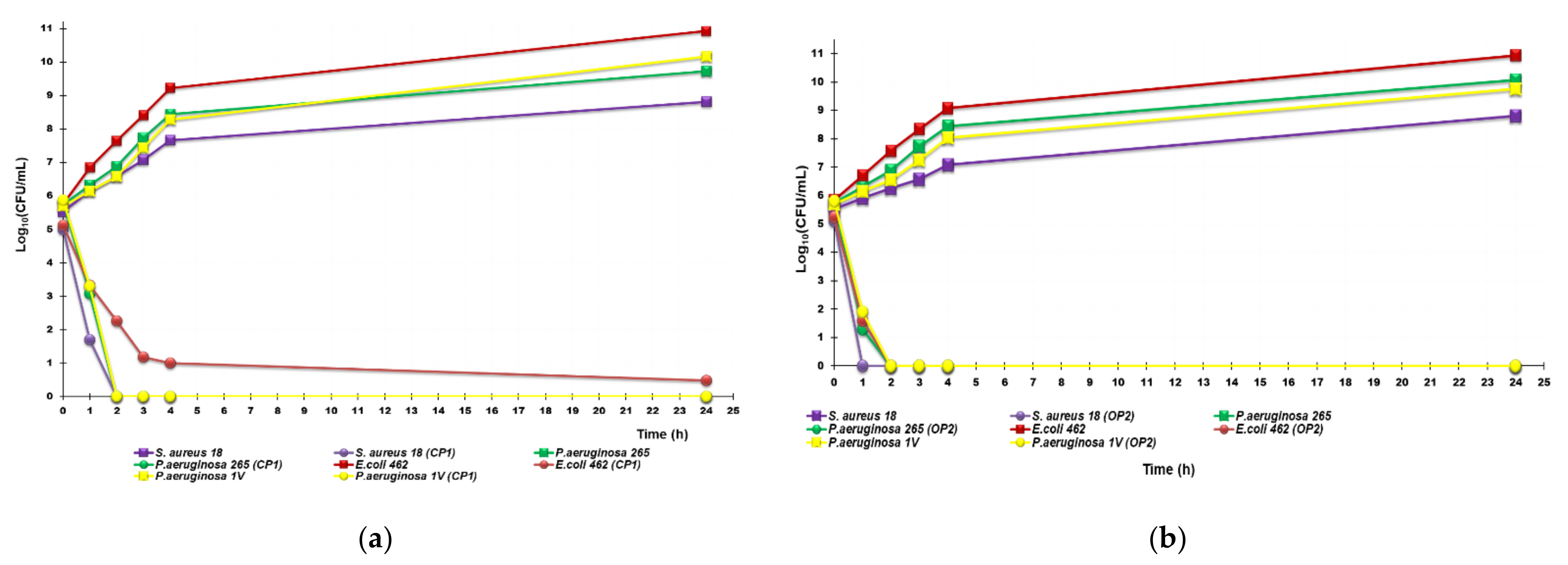 Nanomaterials 12 02743 g010