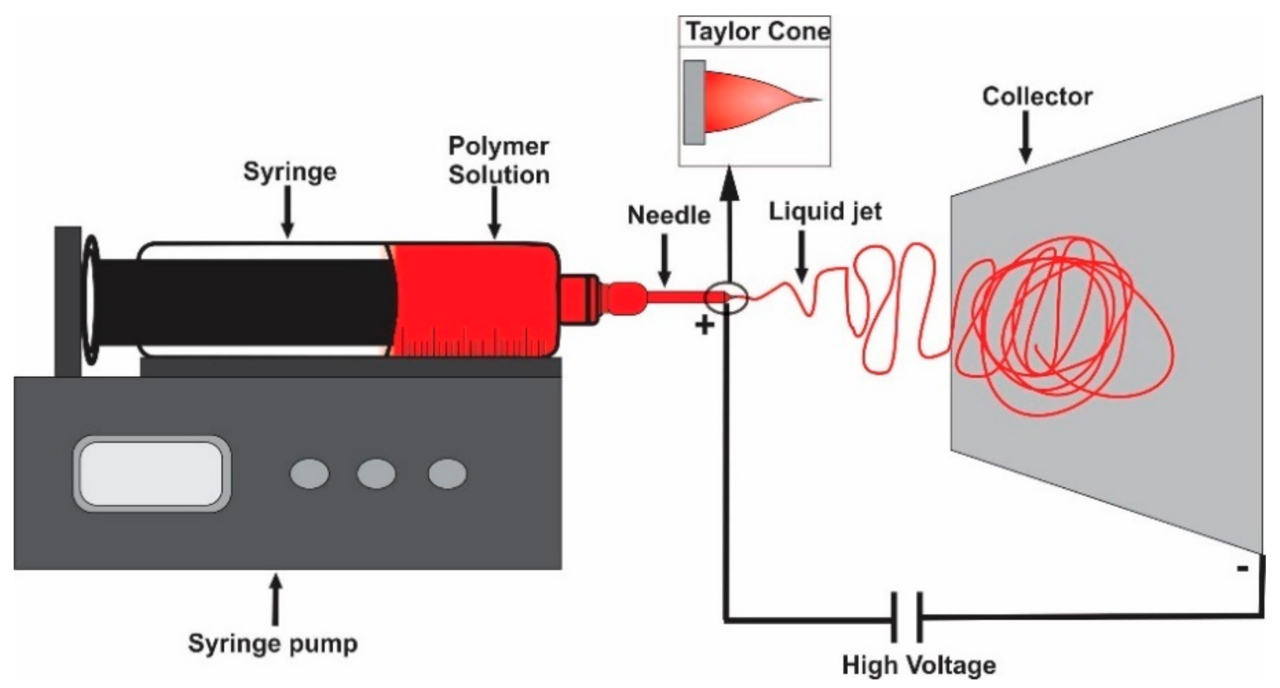 Nanomaterials 12 02744 g001