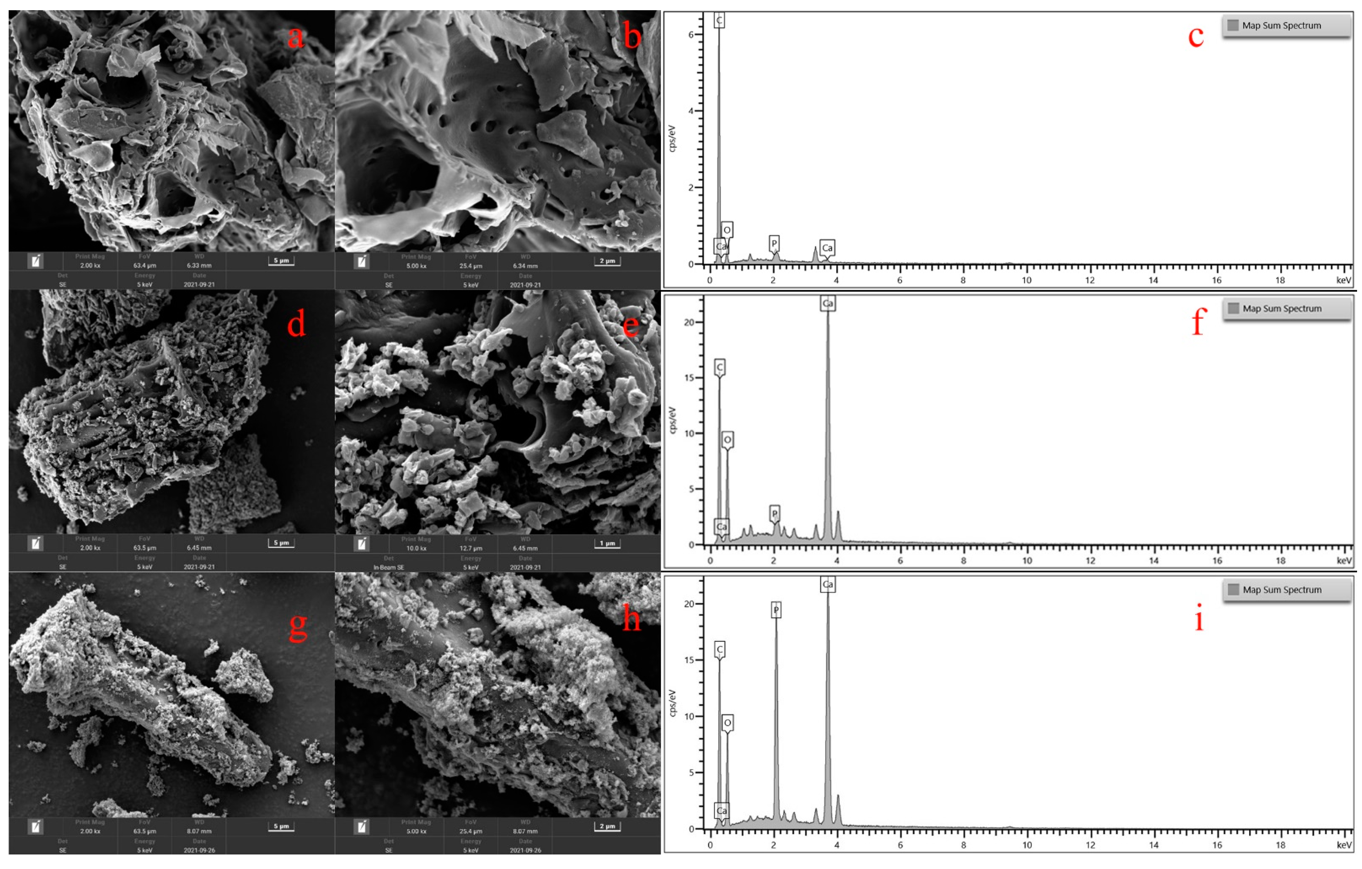 Nanomaterials 12 02755 g006