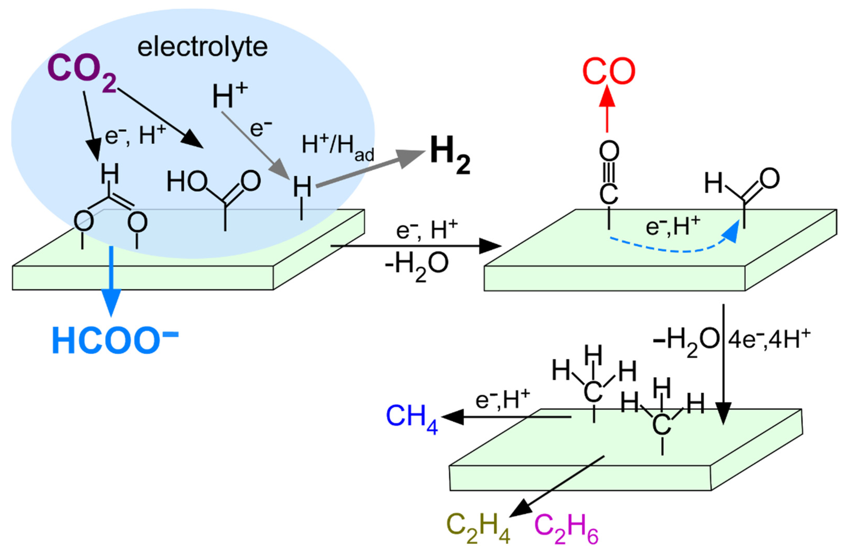 Nanomaterials 12 02758 g008 550