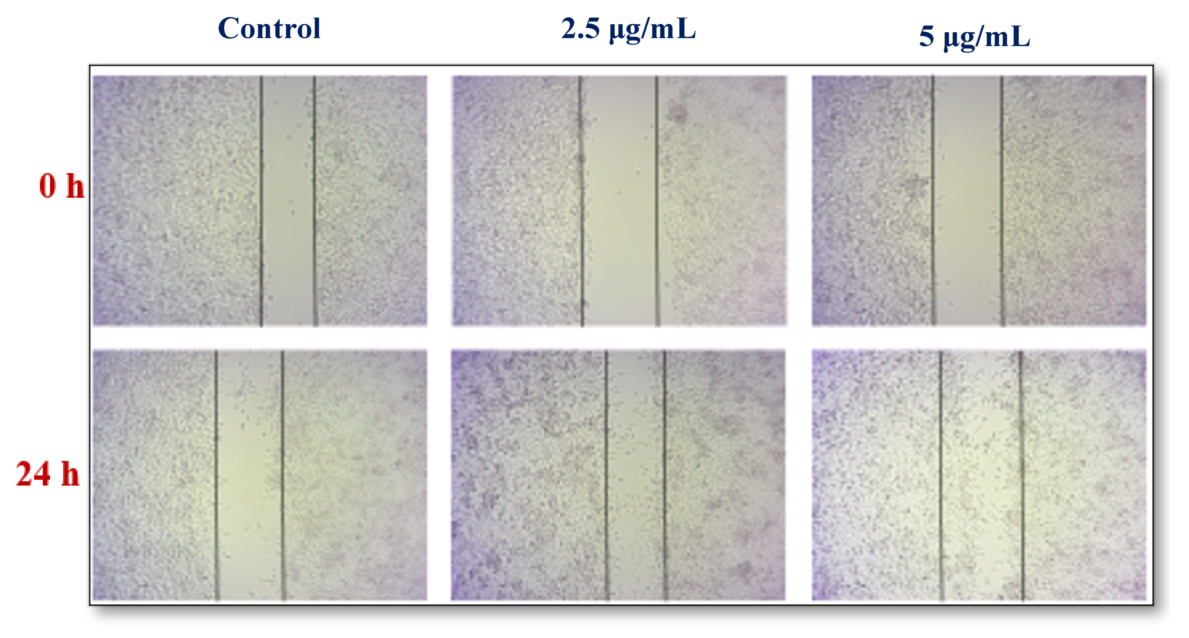 Nanomaterials 12 02759 g008