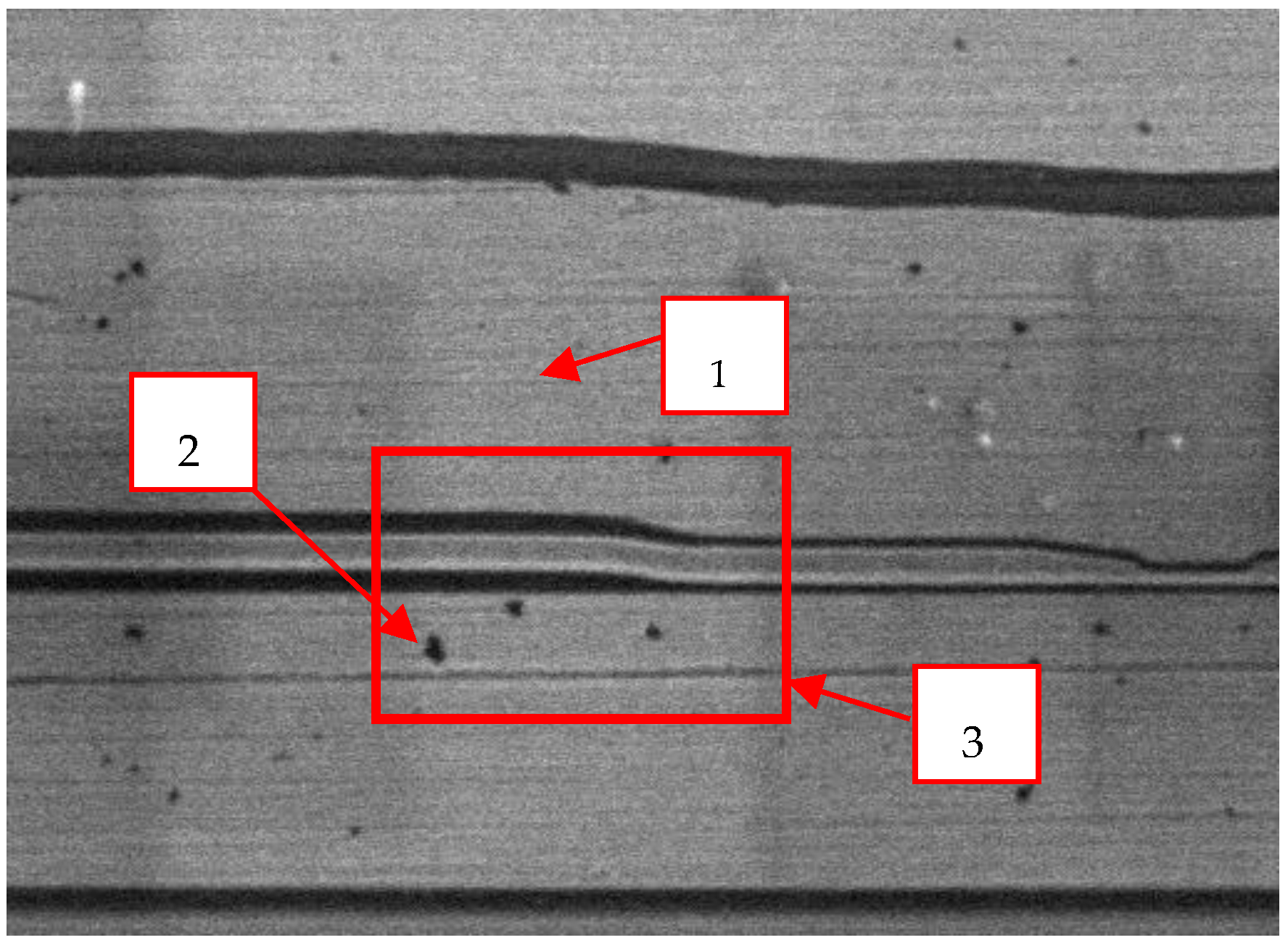 Nanomaterials 12 02763 g007 550