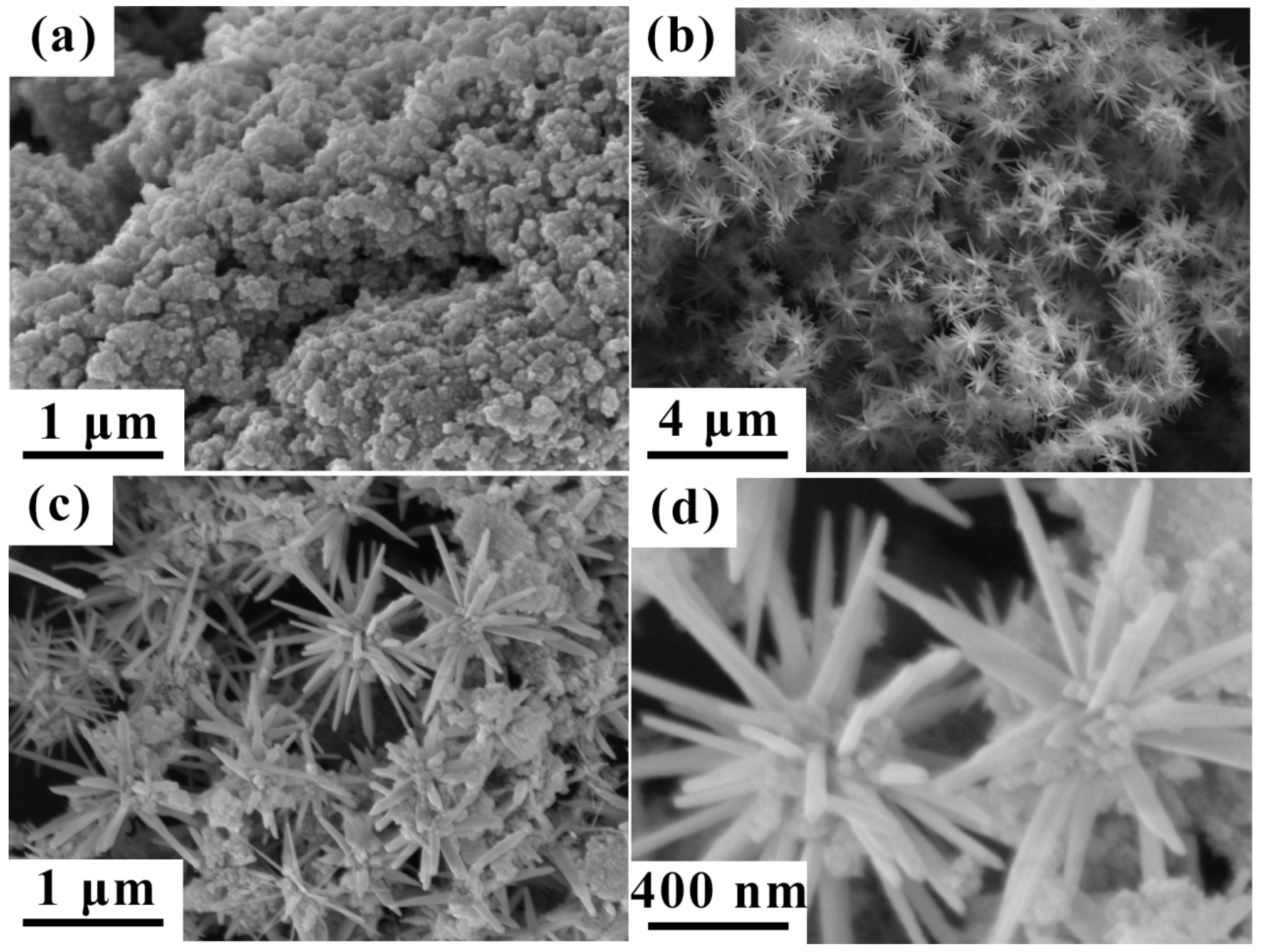 Nanomaterials 12 02764 g004 550
