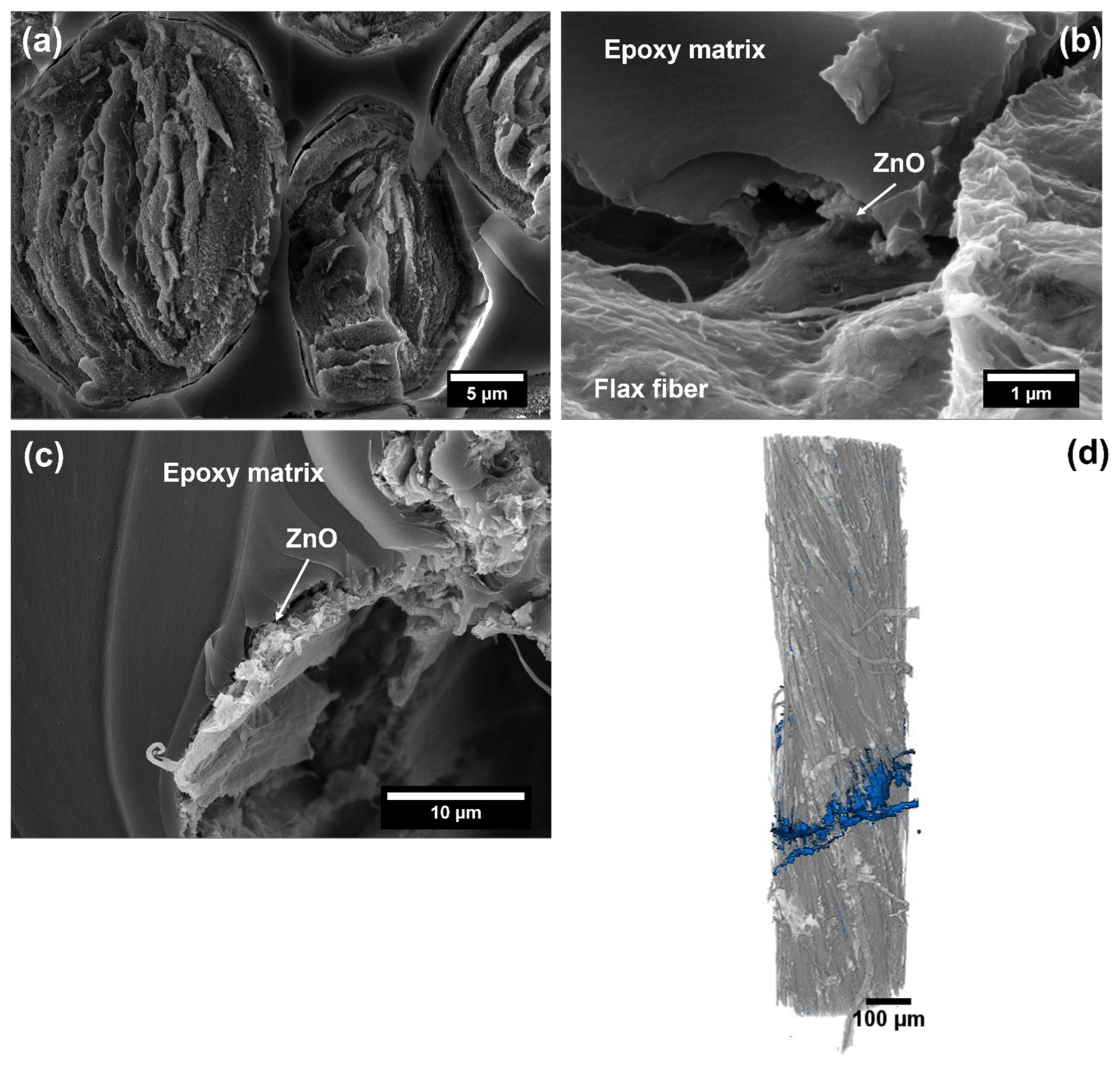 Nanomaterials 12 02765 g010