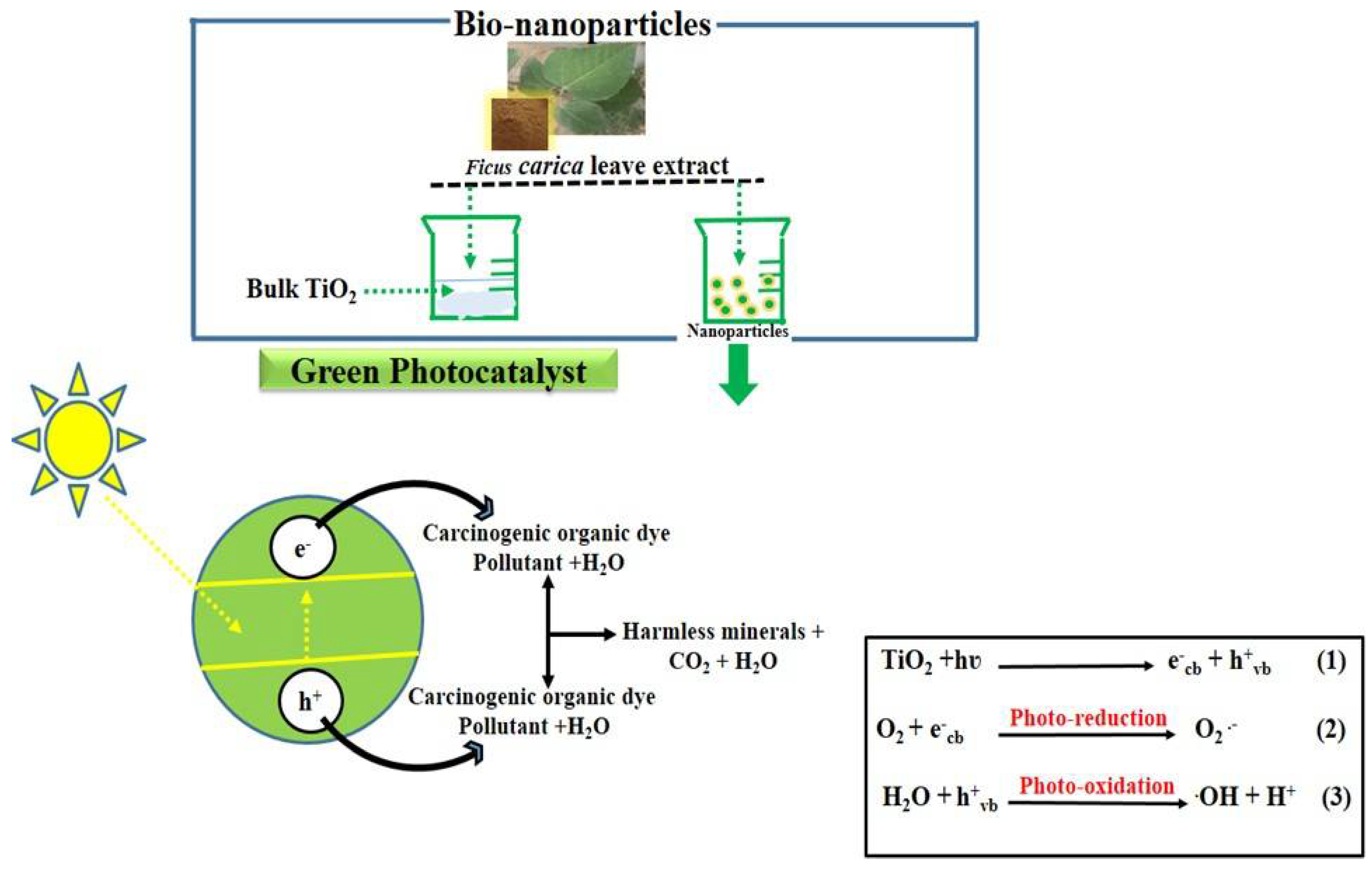 Nanomaterials 12 02766 g010 550