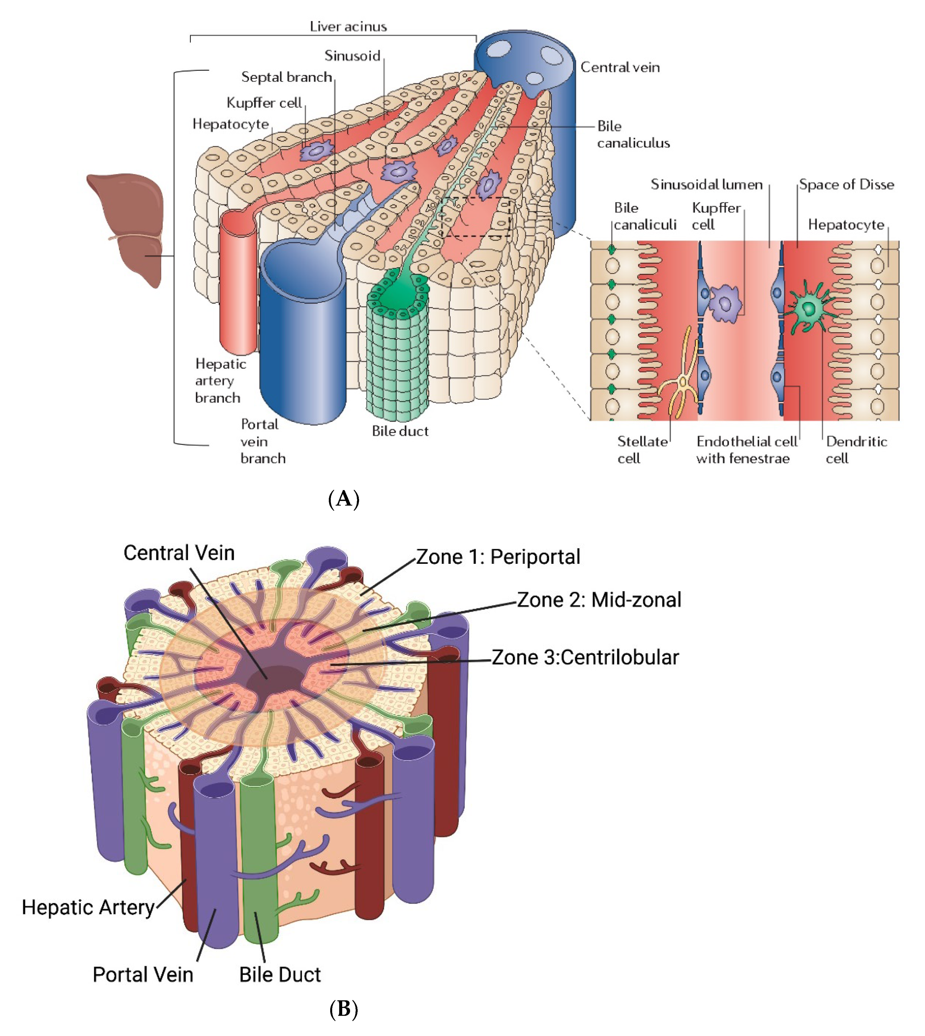 Nanomaterials 12 02768 g002a