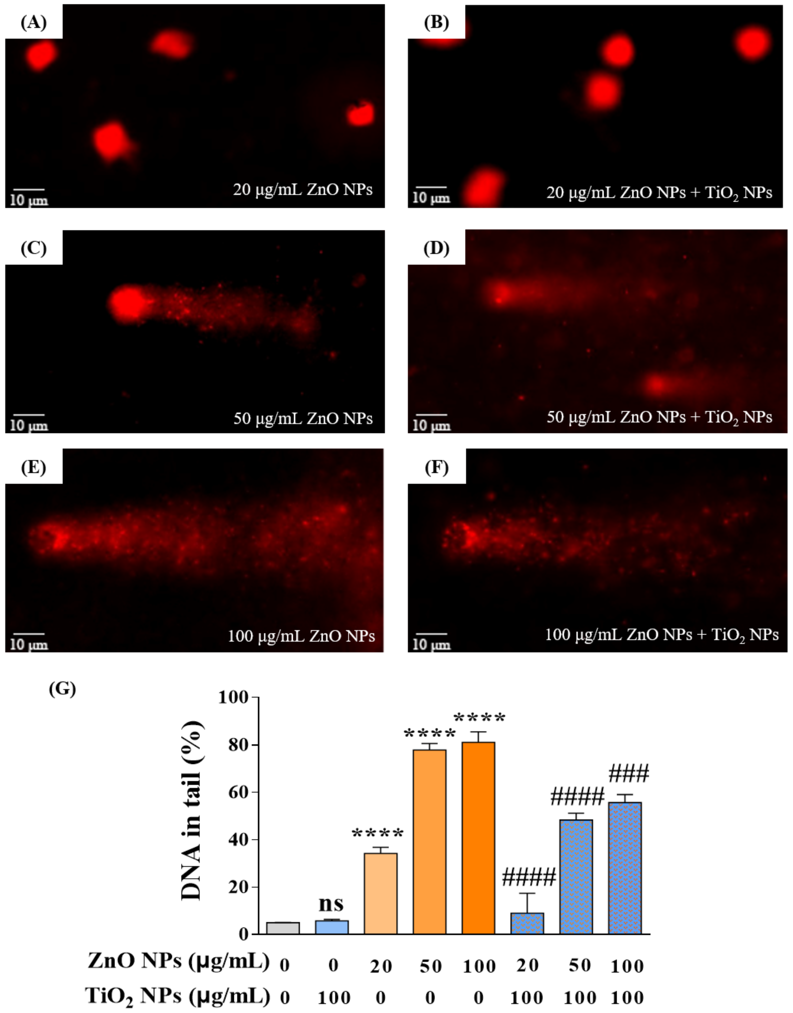 Nanomaterials 12 02769 g003 Nanomaterials 12 02769 g003