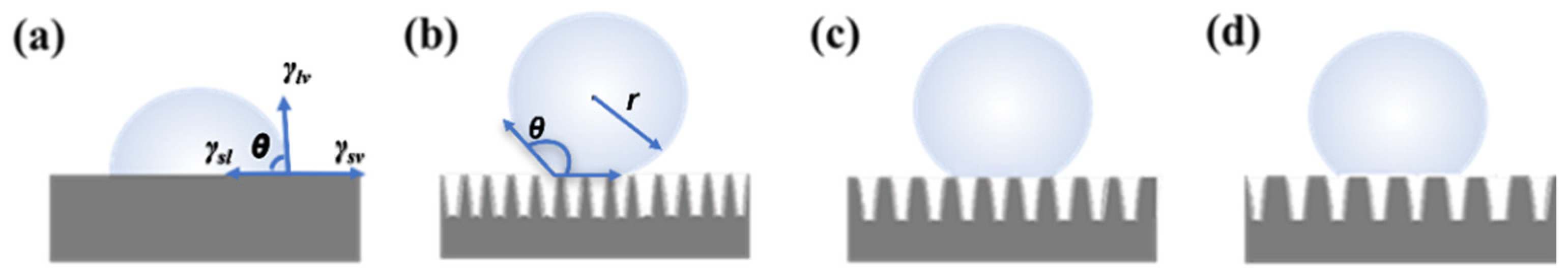 Nanomaterials 12 02782 g008 550