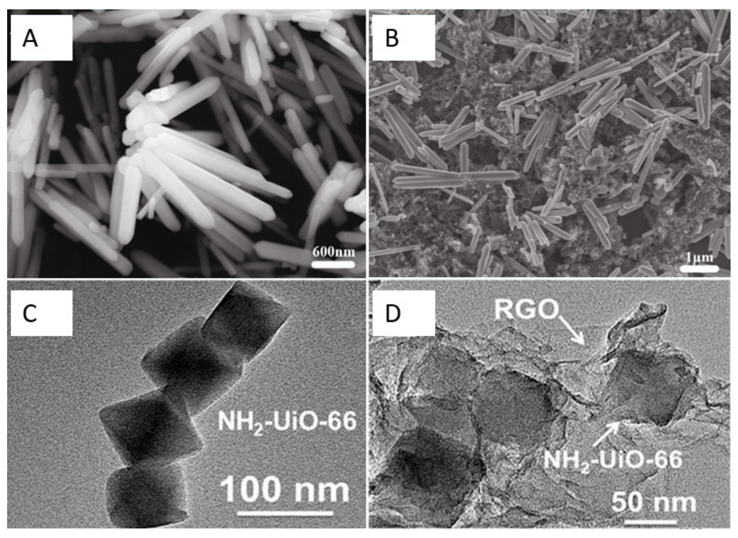 Nanomaterials 12 02789 g002 550