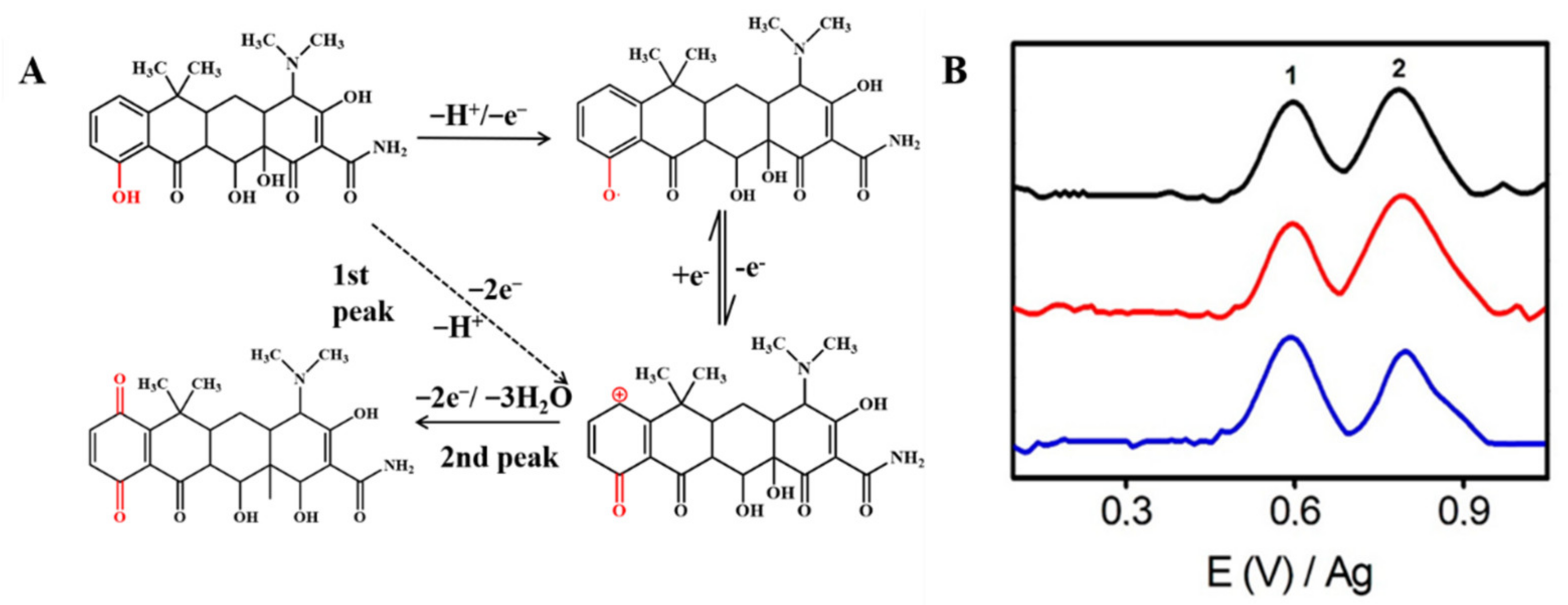 Nanomaterials 12 02789 g003 550