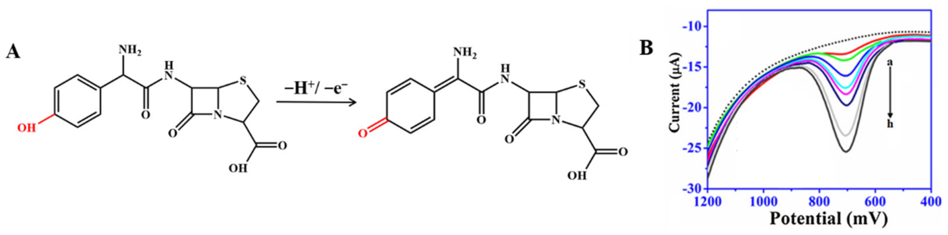 Nanomaterials 12 02789 g004 550