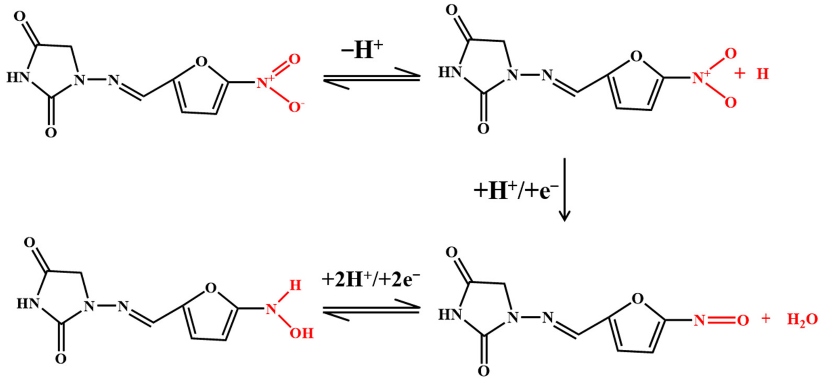 Nanomaterials 12 02789 g006 550