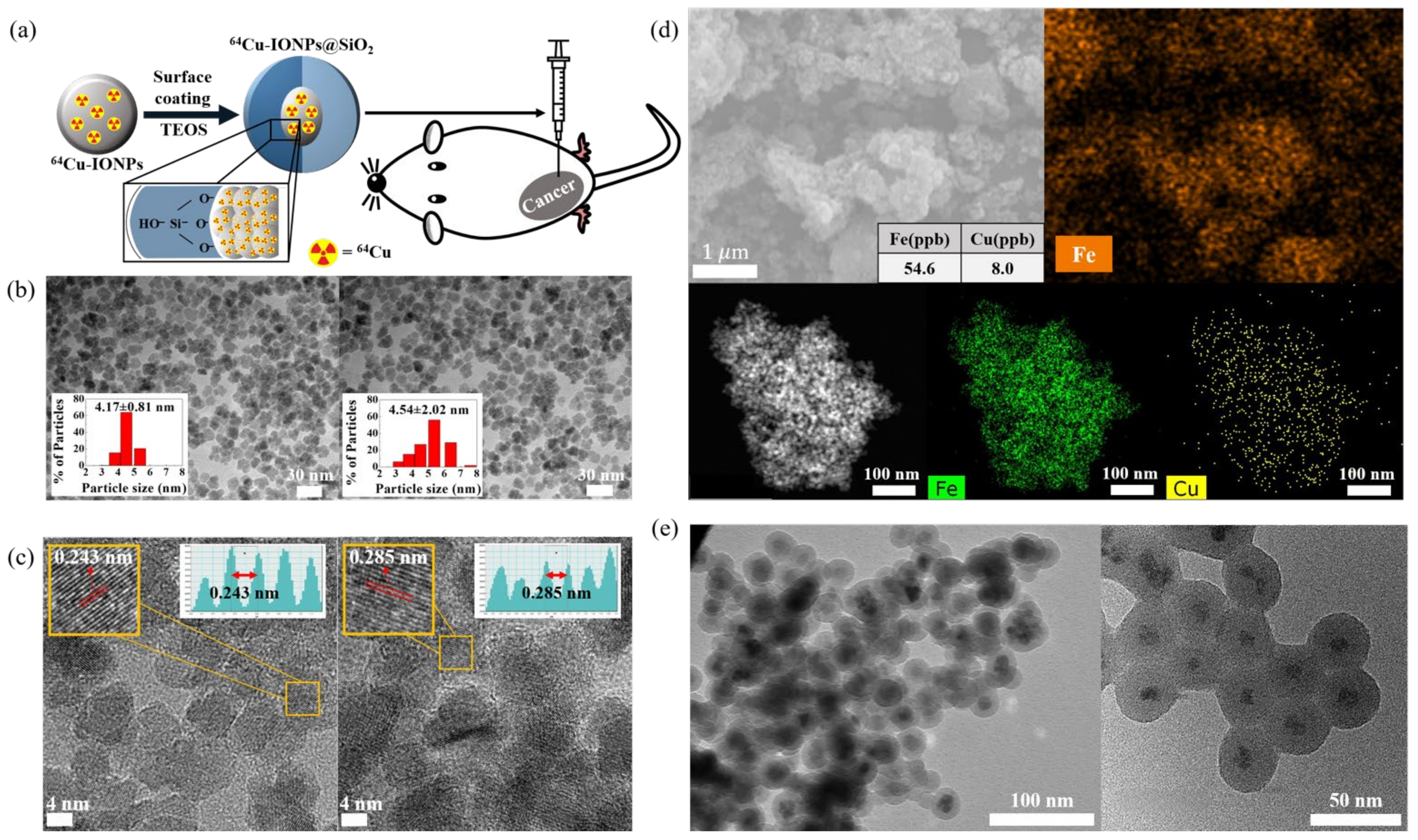 Nanomaterials 12 02791 g001
