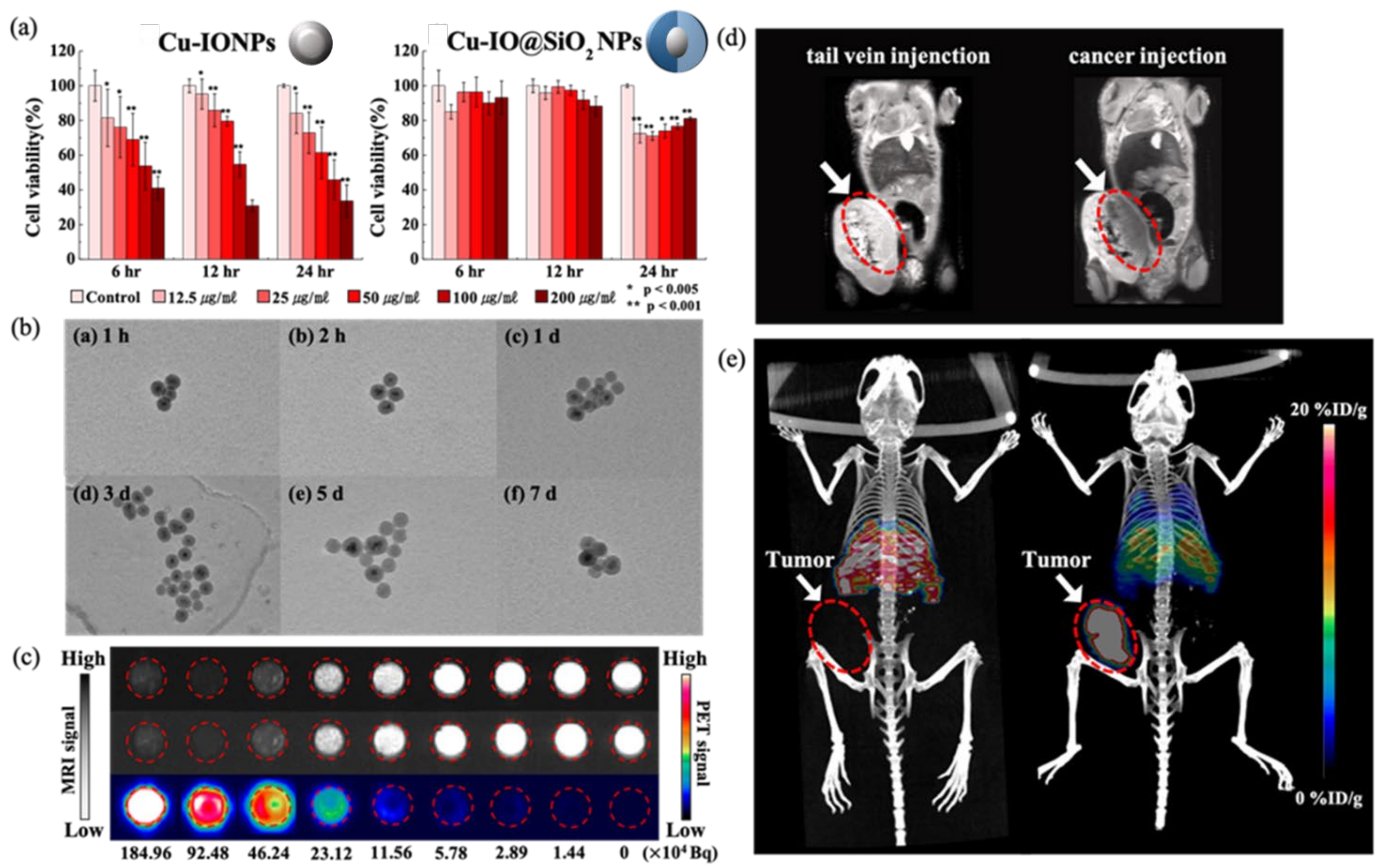 Nanomaterials 12 02791 g005