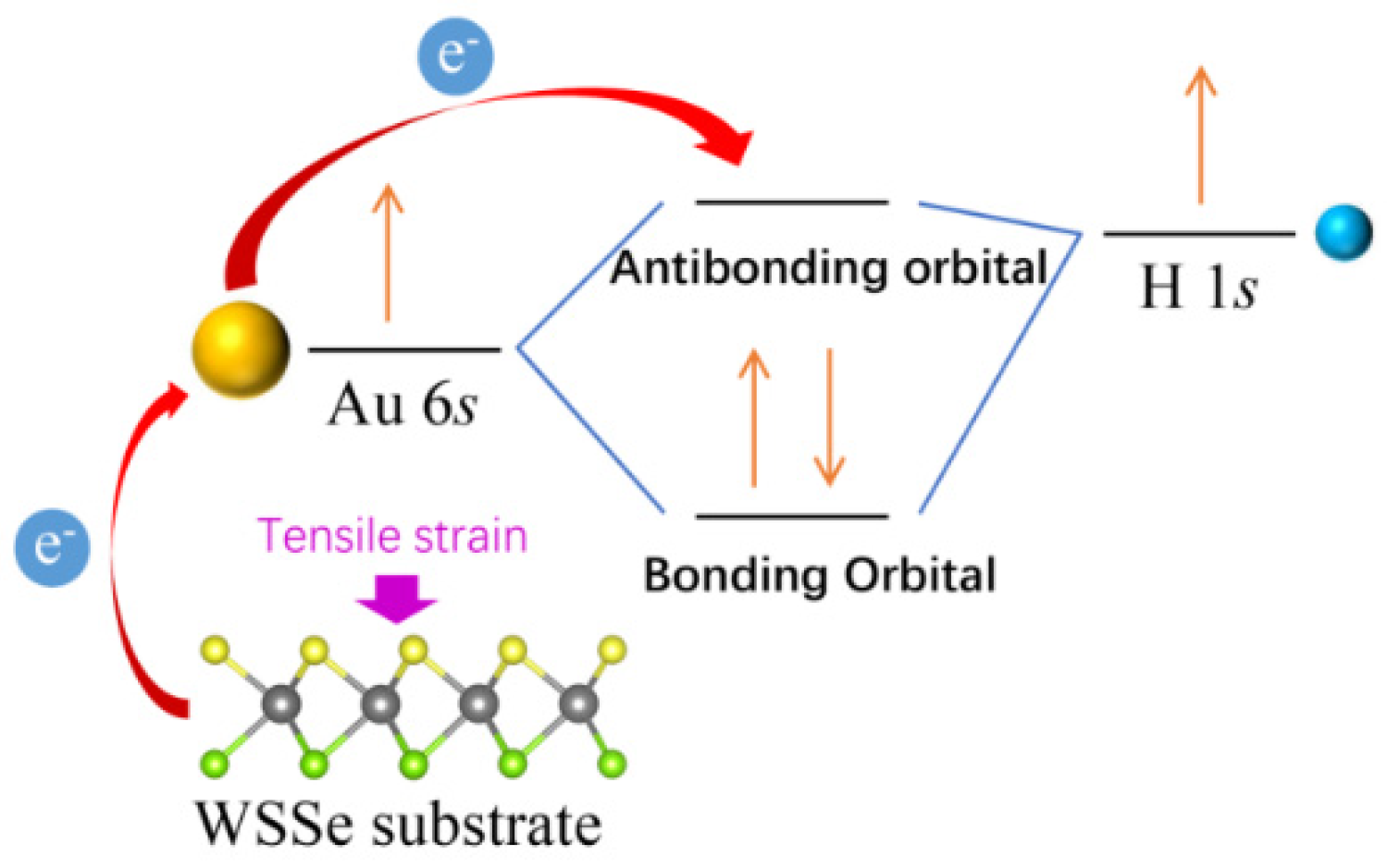 Nanomaterials 12 02793 g007