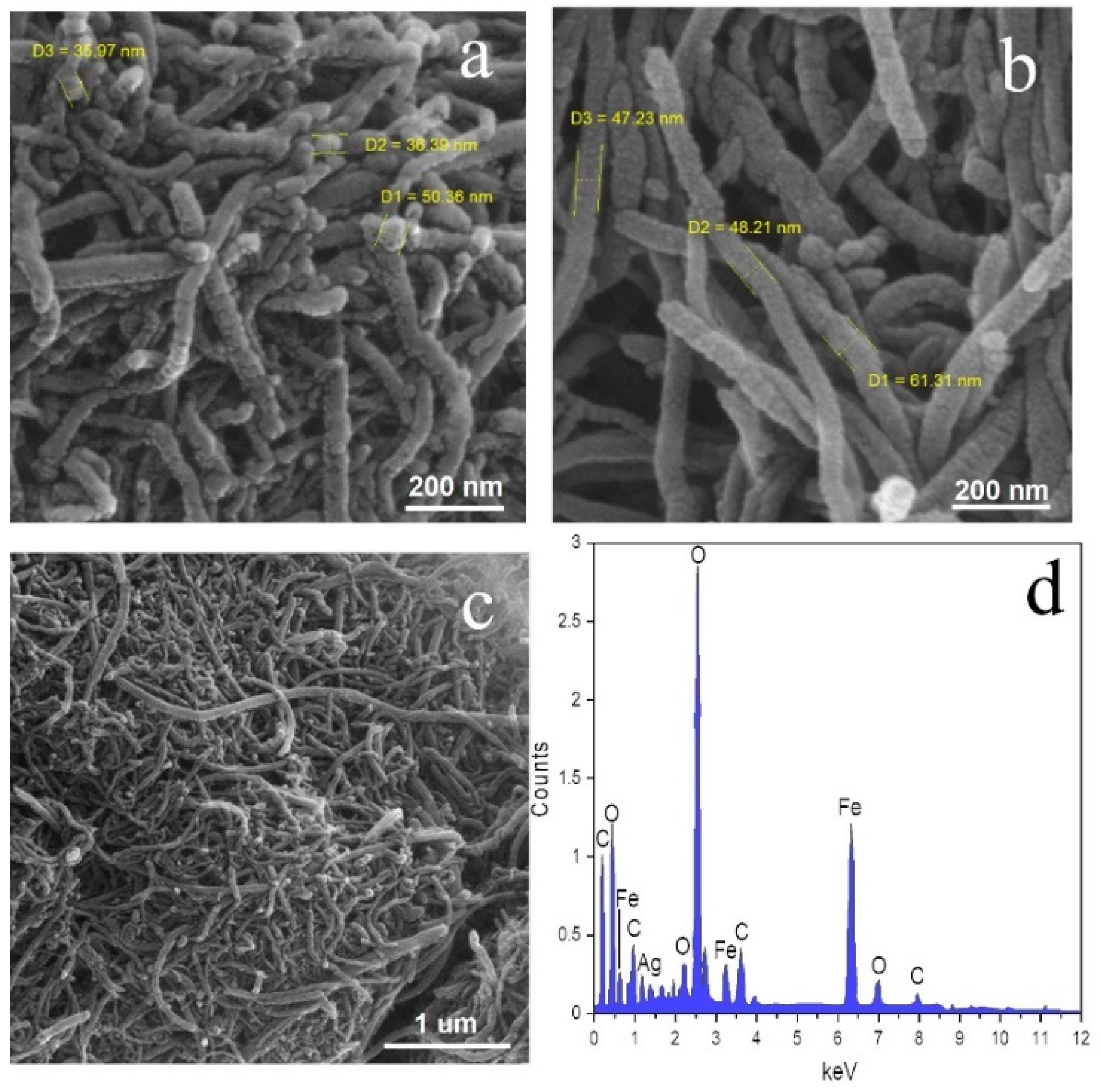 Nanomaterials 12 02798 g003