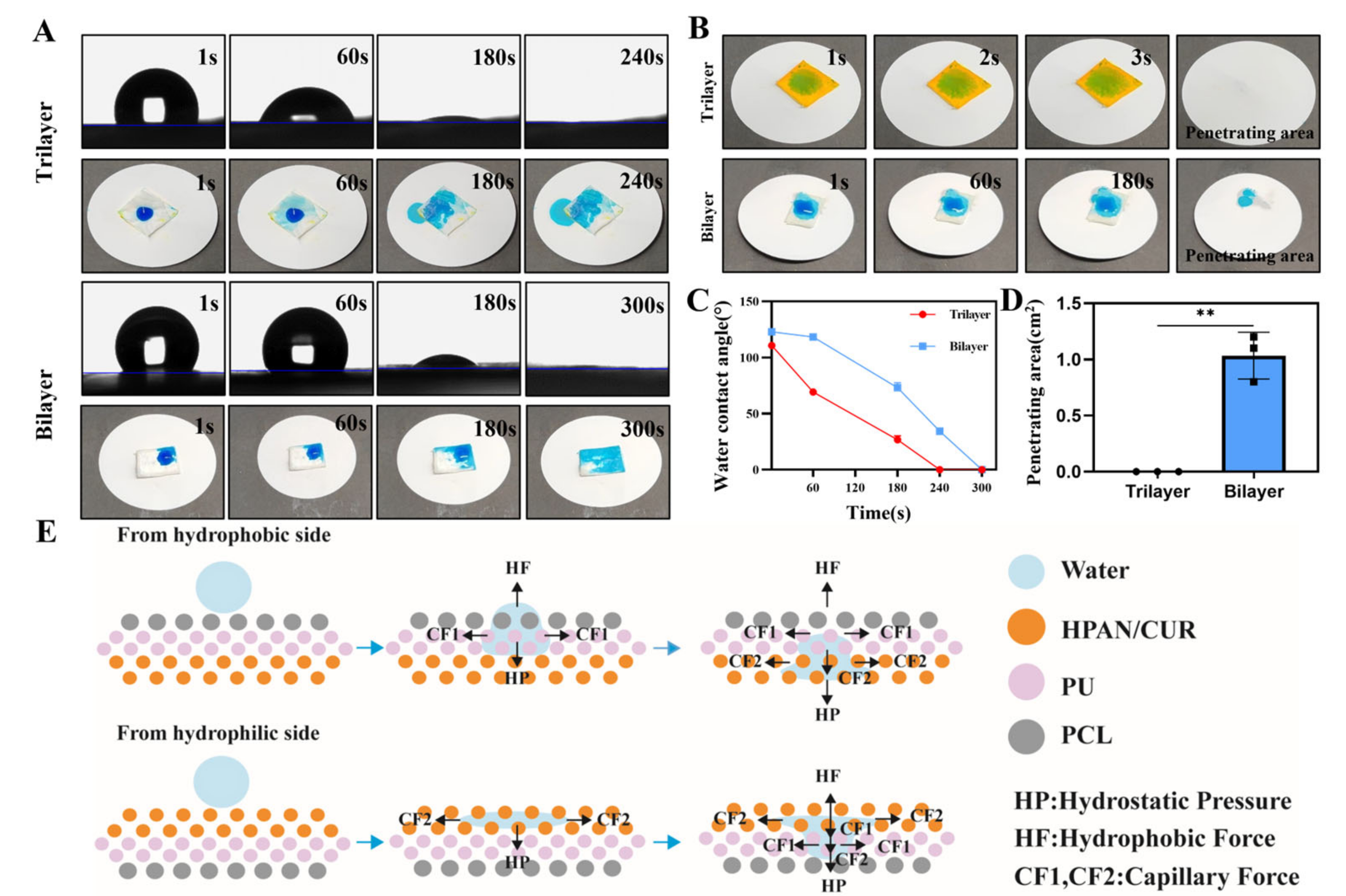 Nanomaterials 12 02802 g003