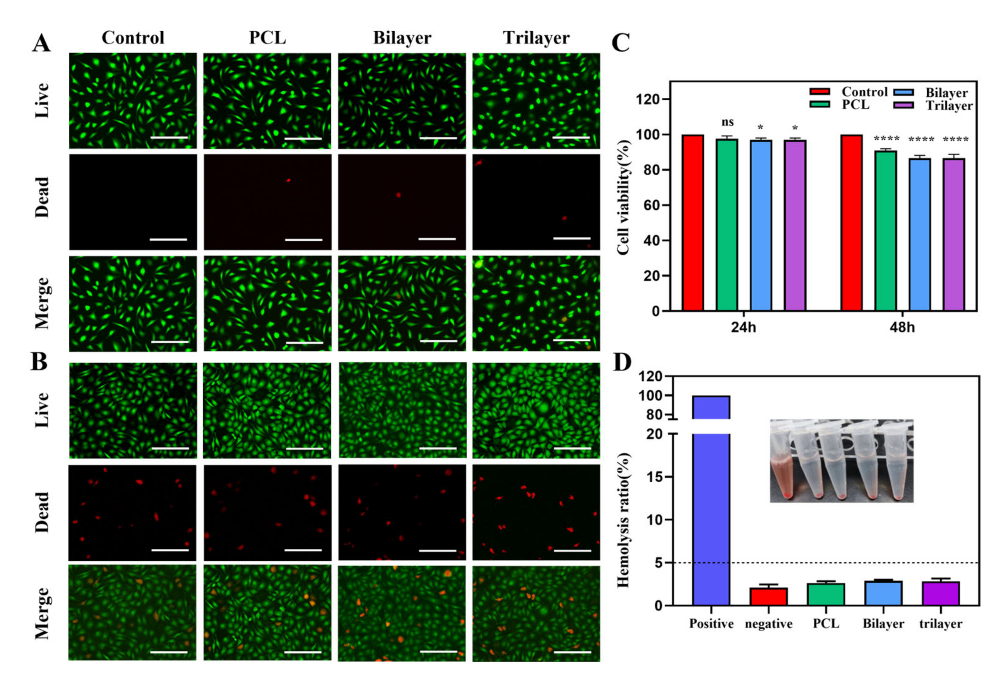 Nanomaterials 12 02802 g004
