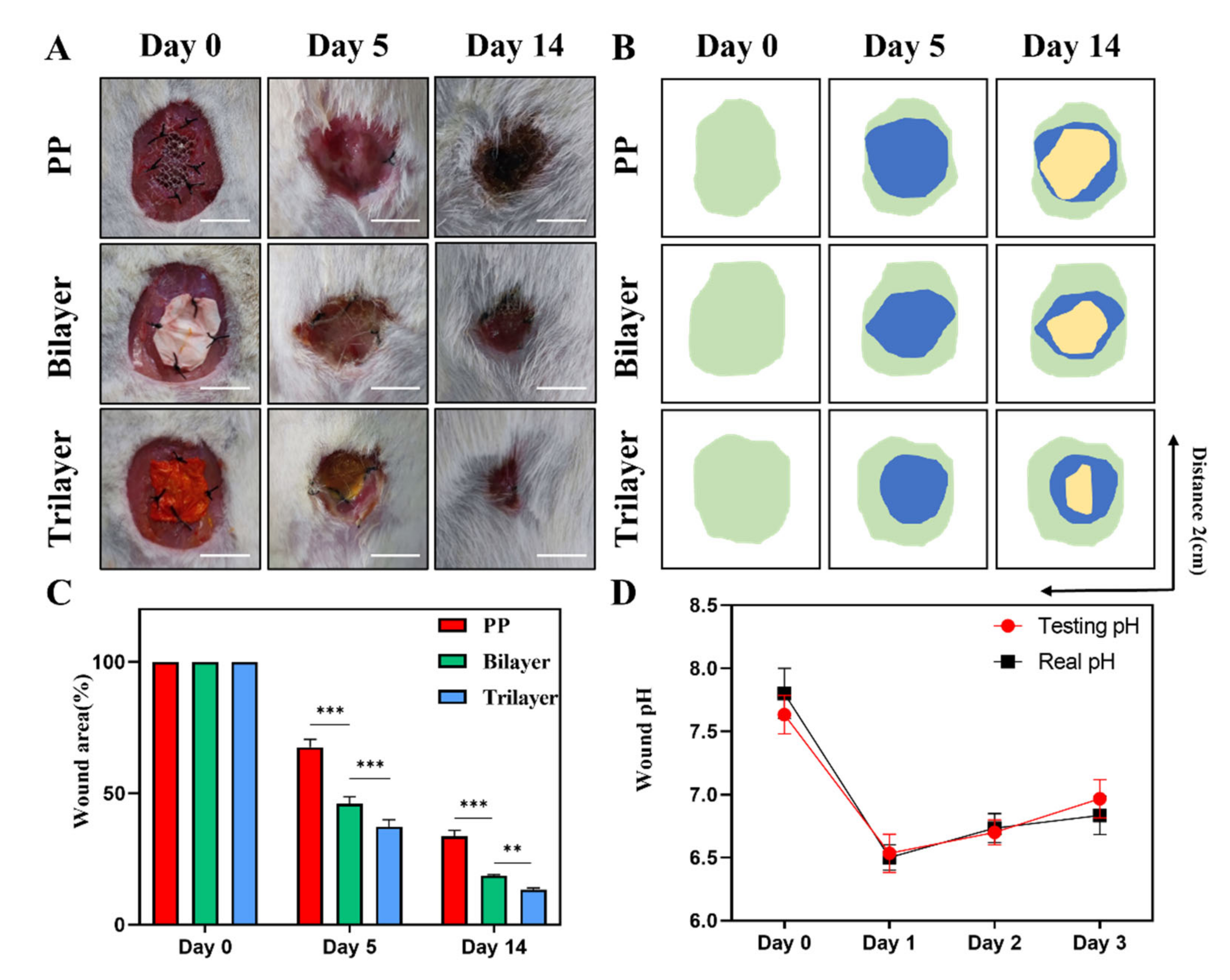 Nanomaterials 12 02802 g005