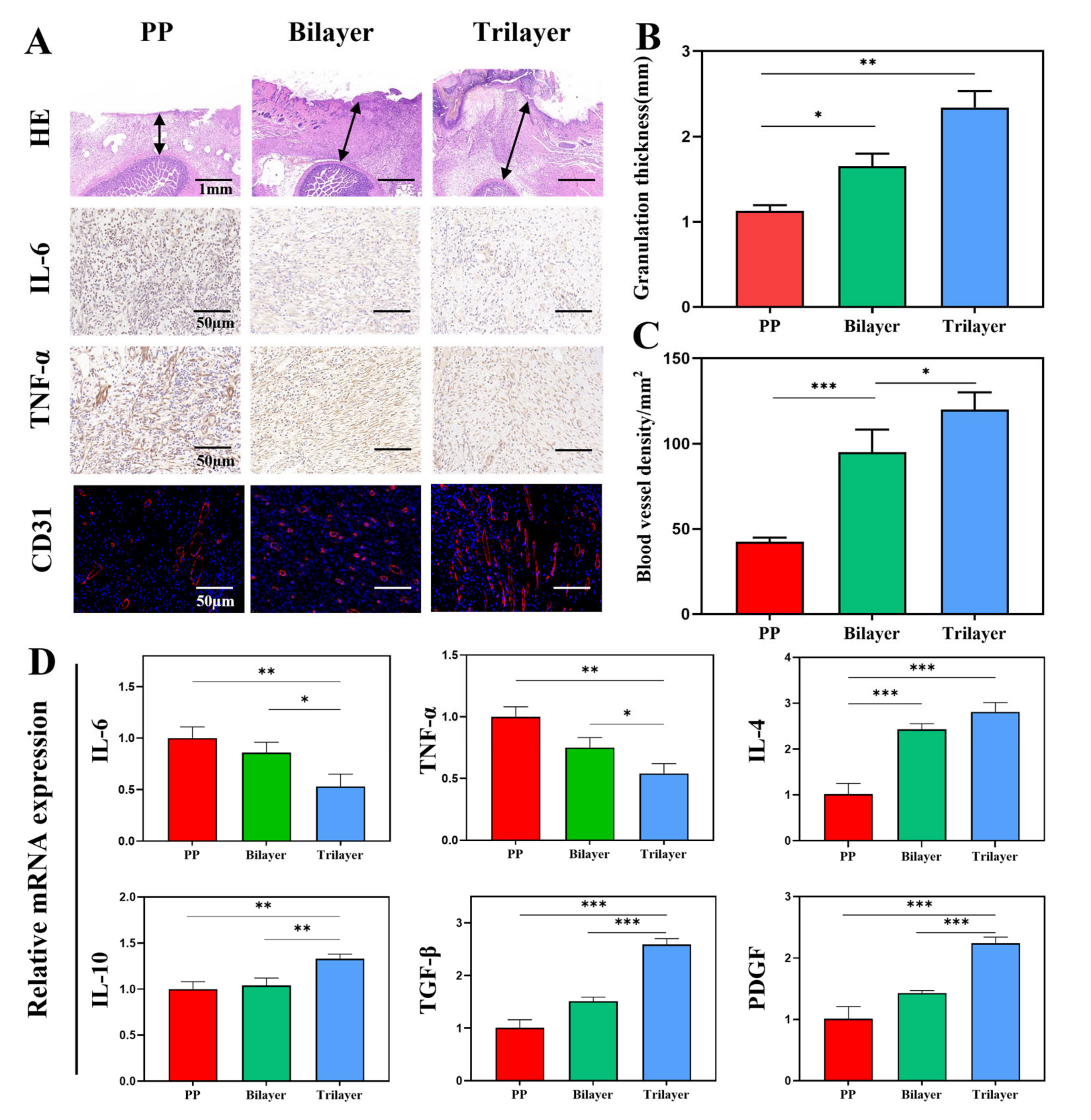 Nanomaterials 12 02802 g006