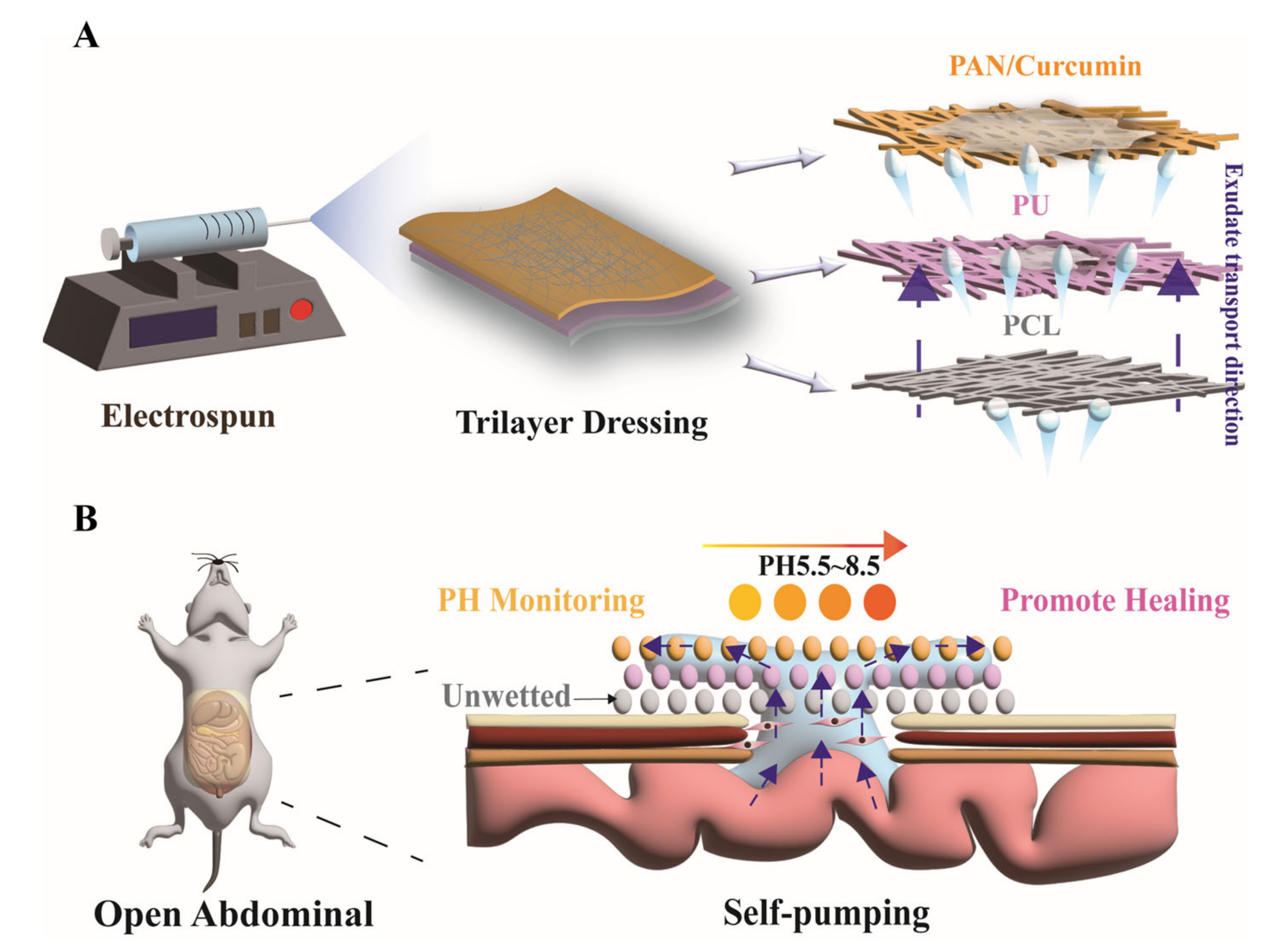 Nanomaterials 12 02802 sch001