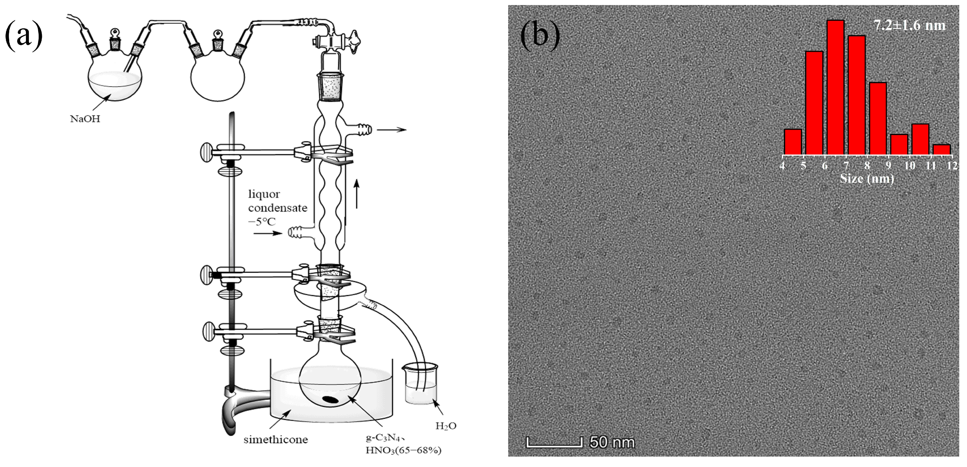 Nanomaterials 12 02804 g001 550