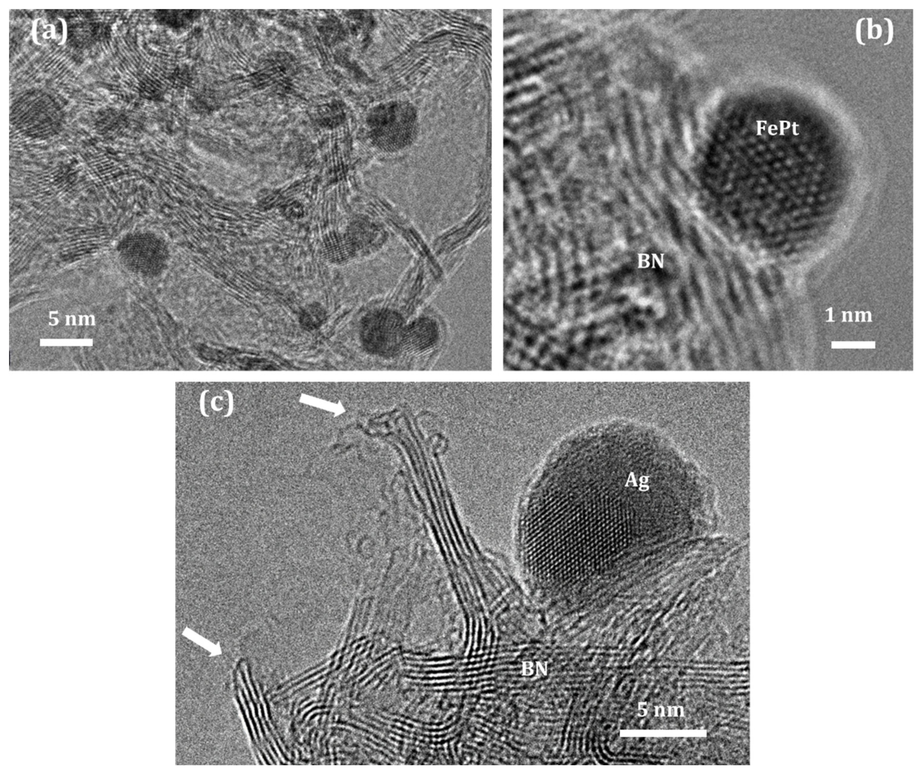 Nanomaterials 12 02810 g004 550