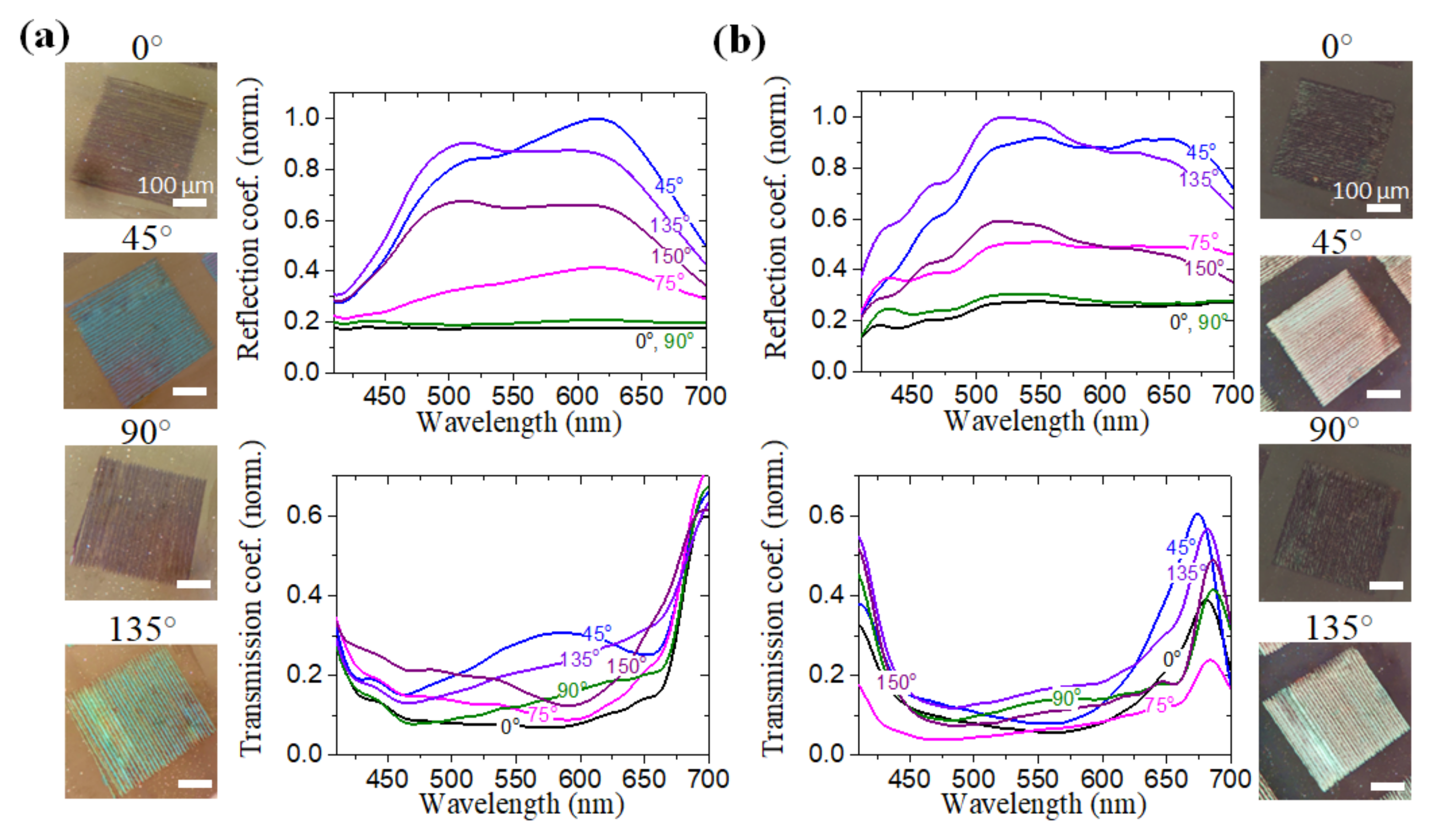 Nanomaterials 12 02811 g004 550