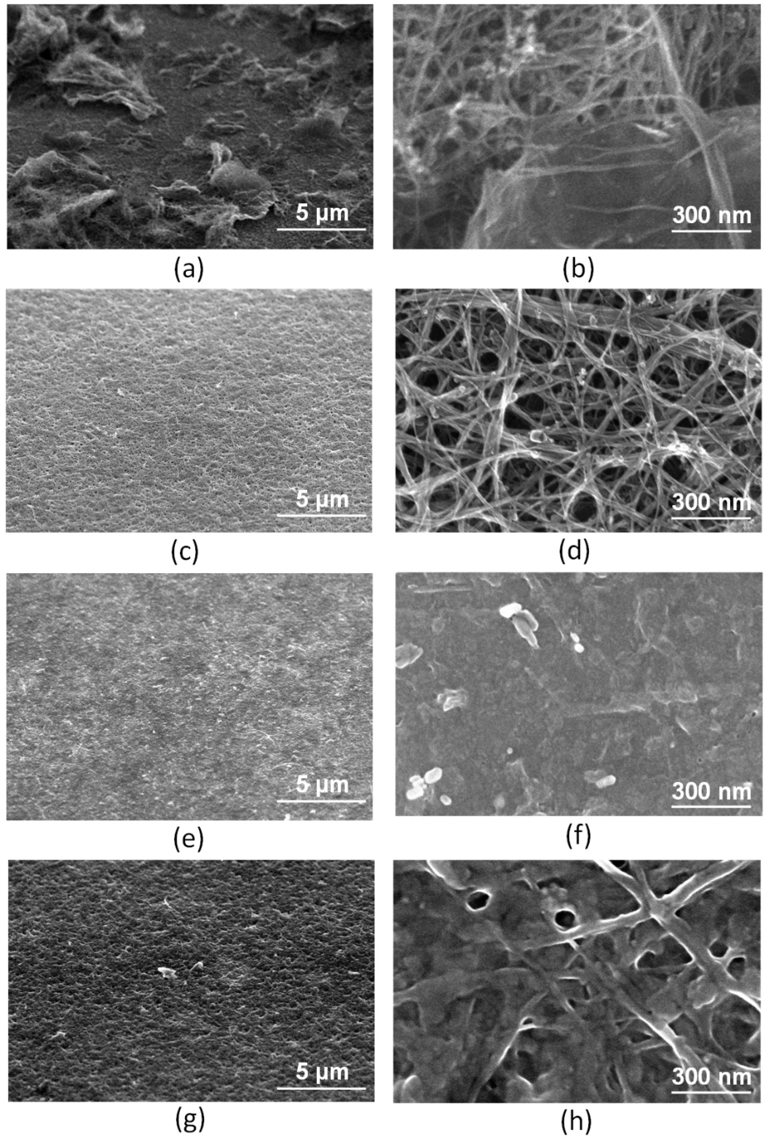 Nanomaterials 12 02812 g006 Nanomaterials 12 02812 g006