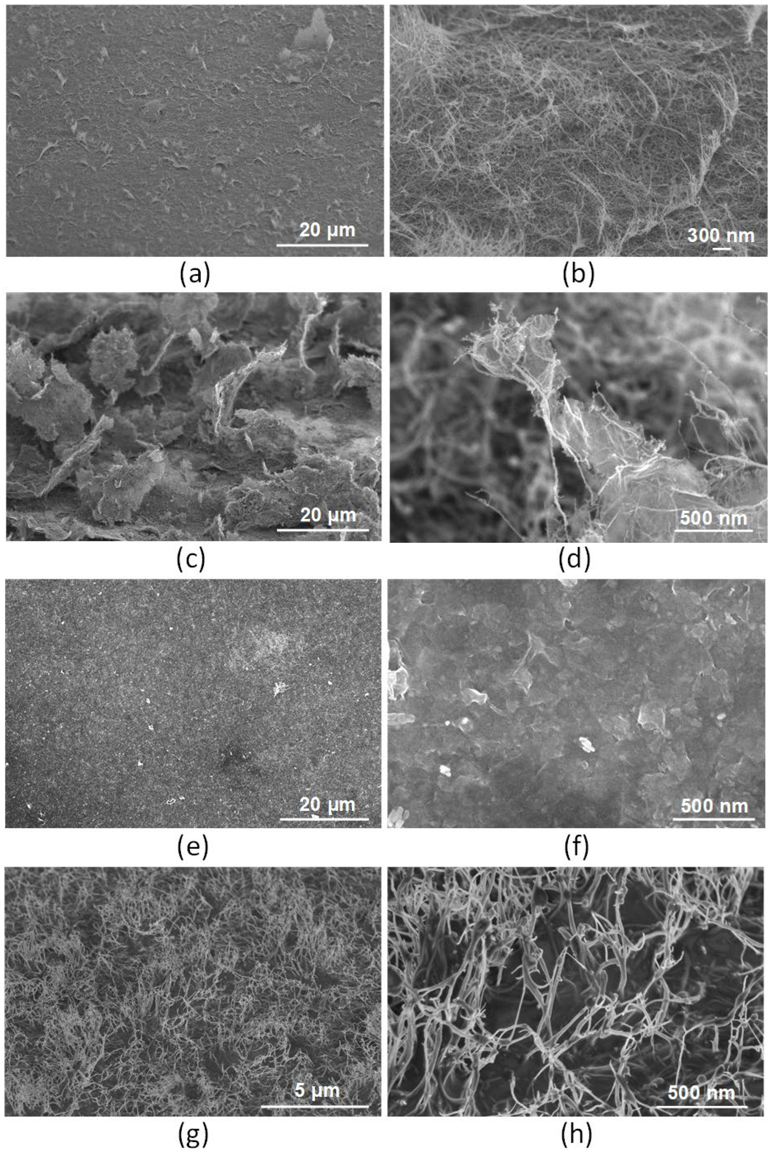 Nanomaterials 12 02812 g008 Nanomaterials 12 02812 g008