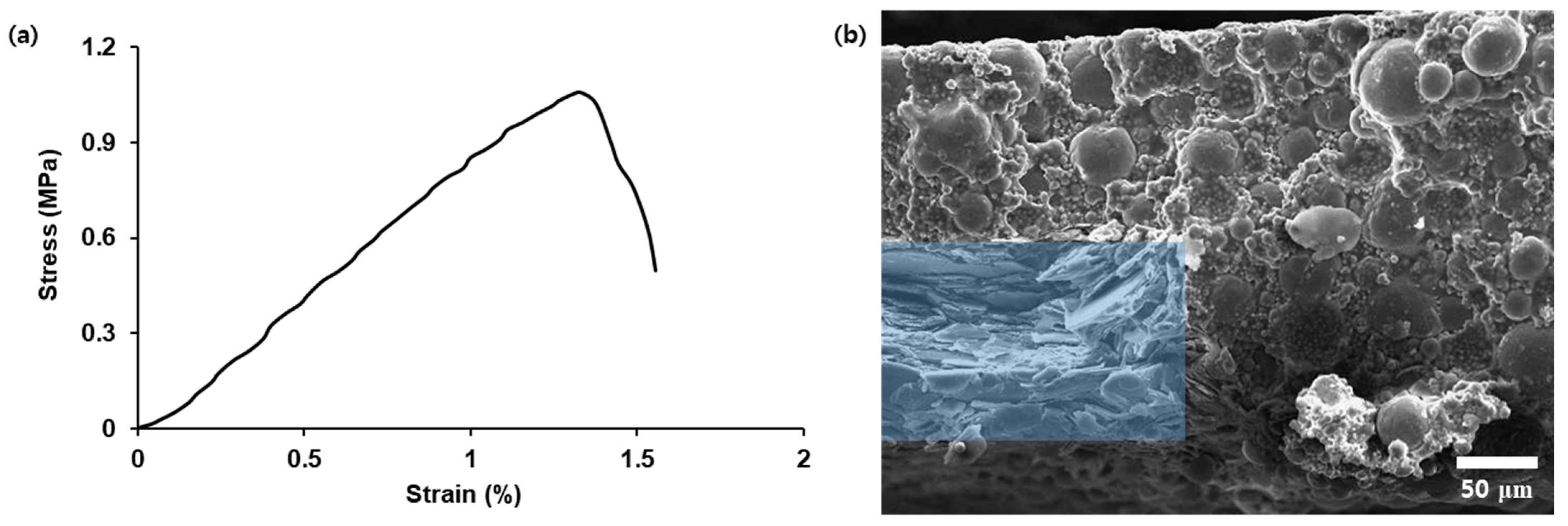 Nanomaterials 12 02815 g008 550