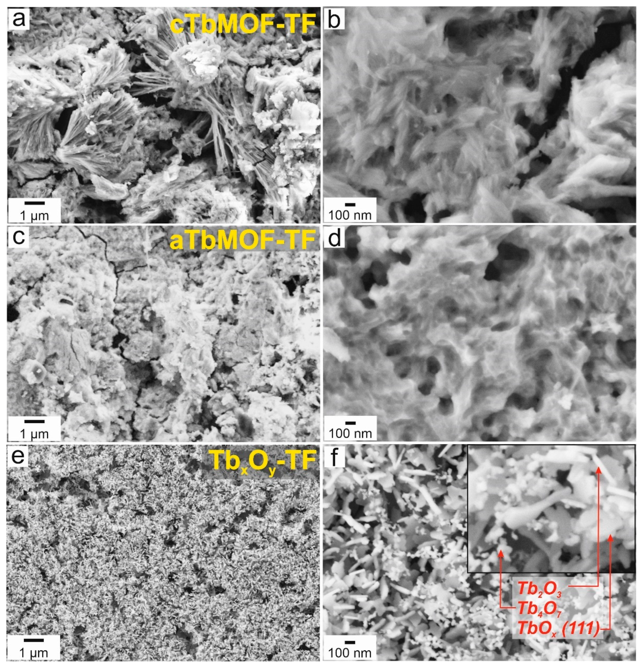 Nanomaterials 12 02817 g008