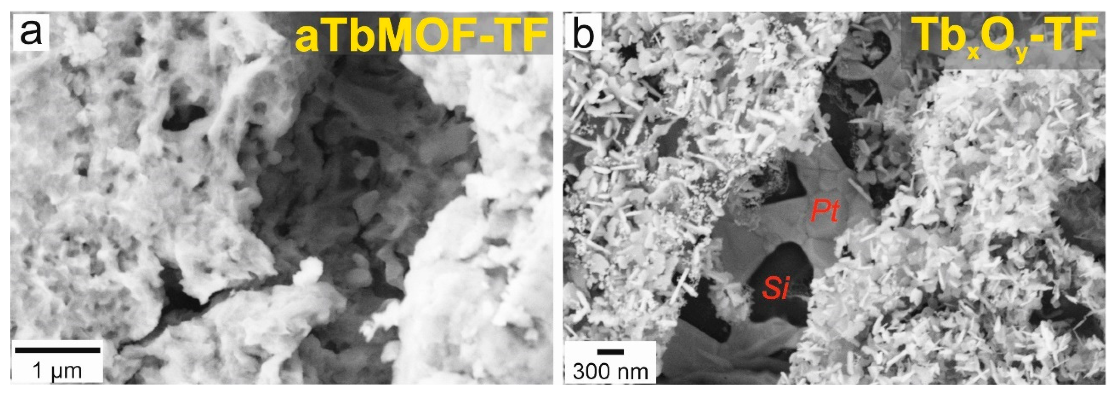 Nanomaterials 12 02817 g009