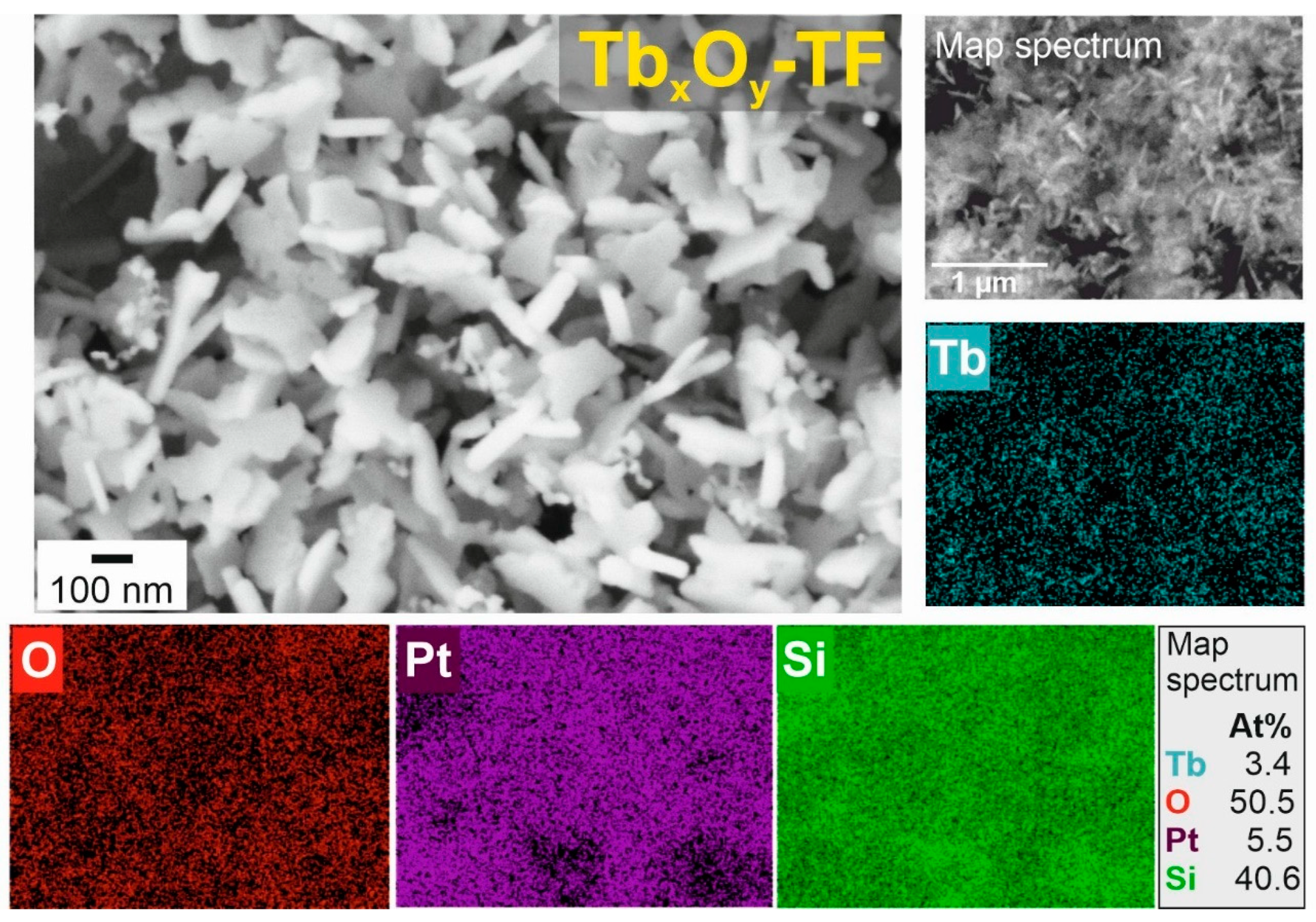 Nanomaterials 12 02817 g010