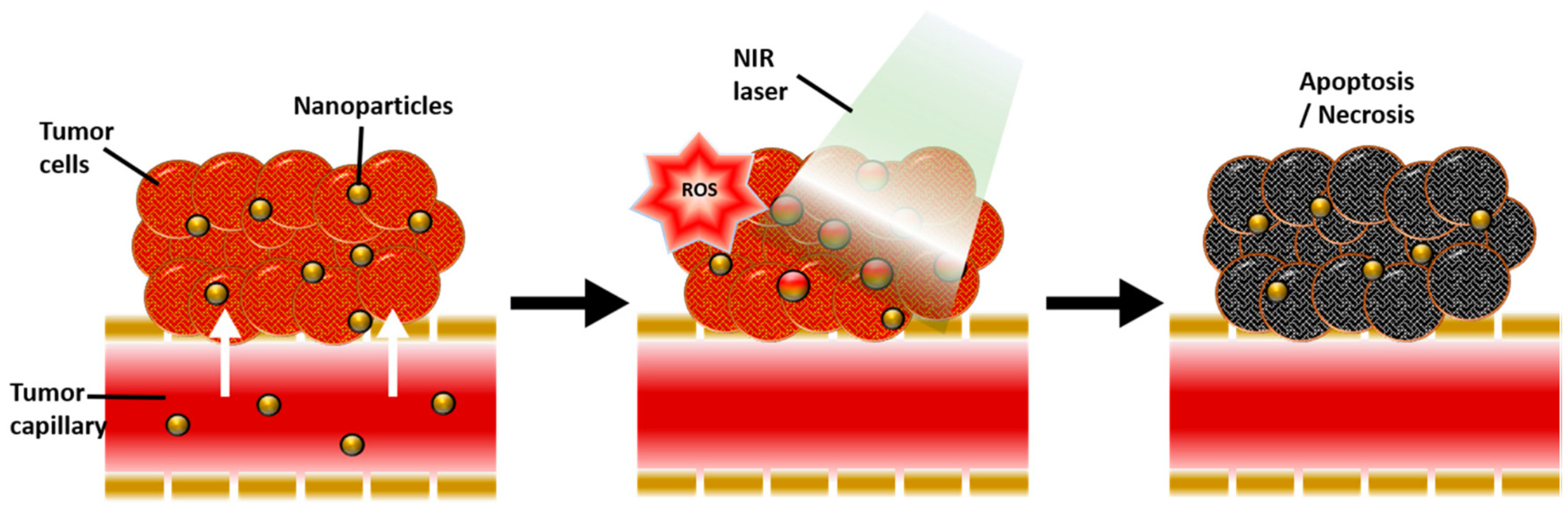 Nanomaterials 12 02826 g005