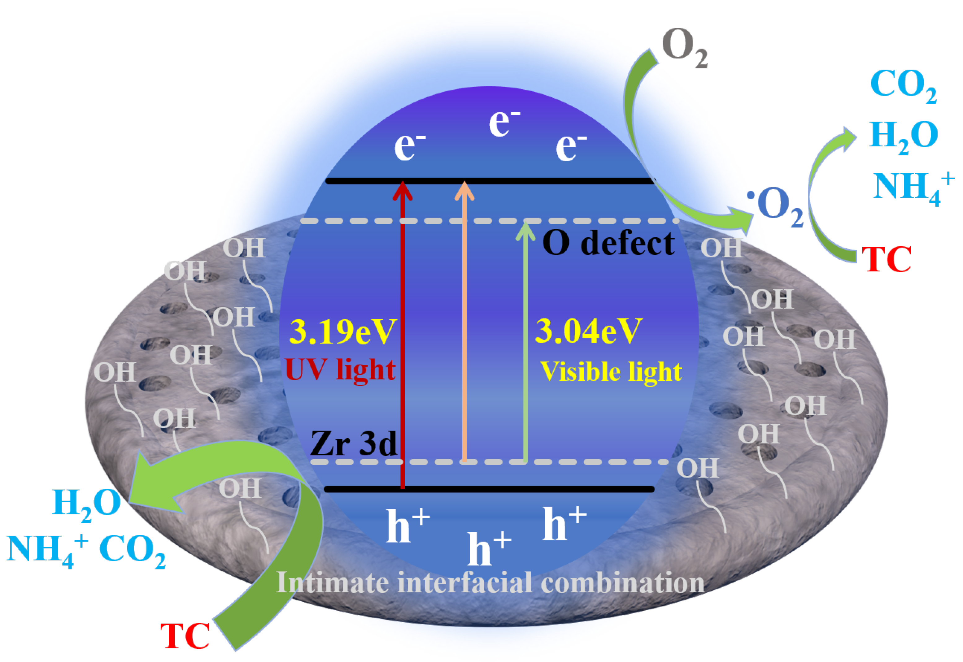 Nanomaterials 12 02827 g007 550