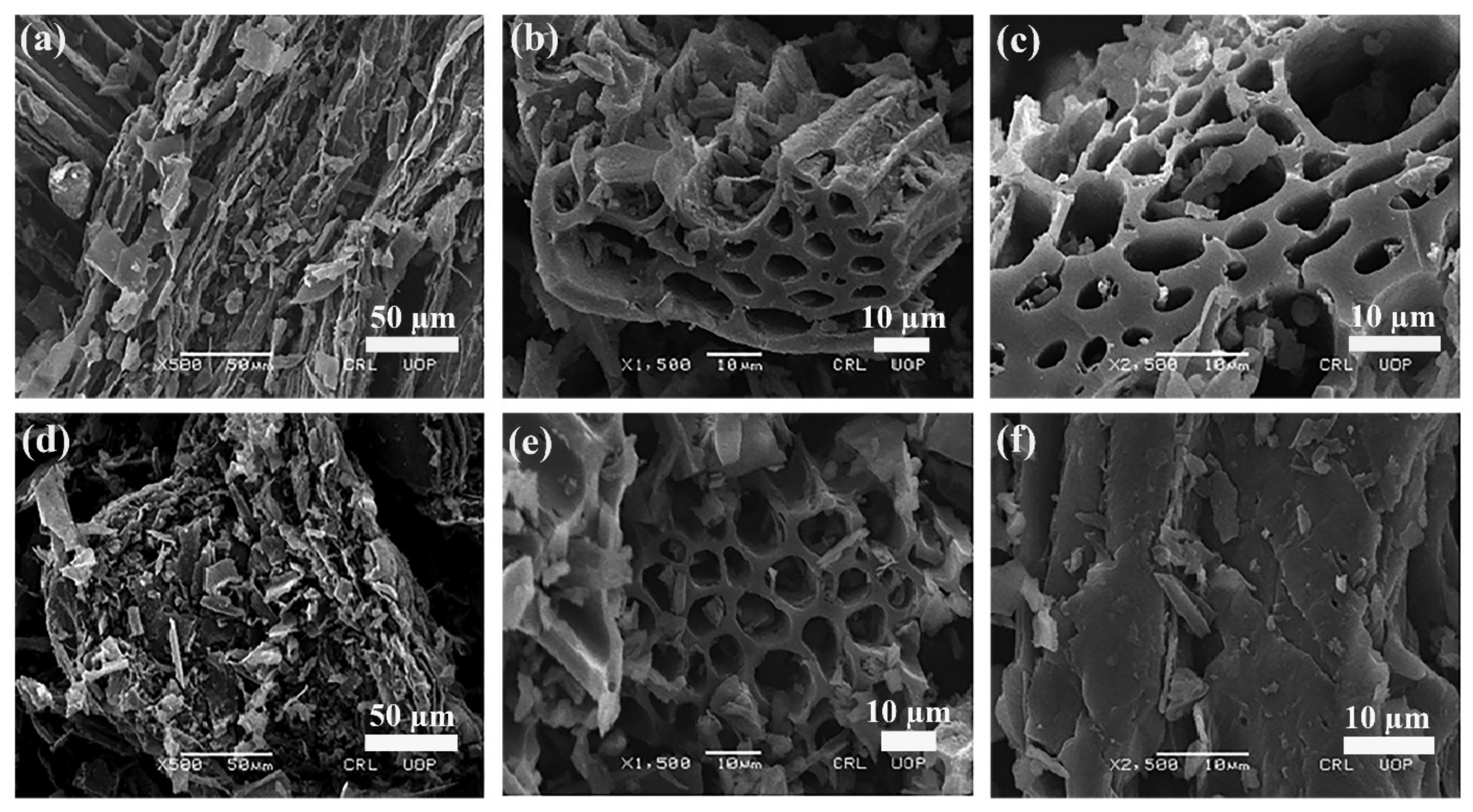 Nanomaterials 12 02828 g004