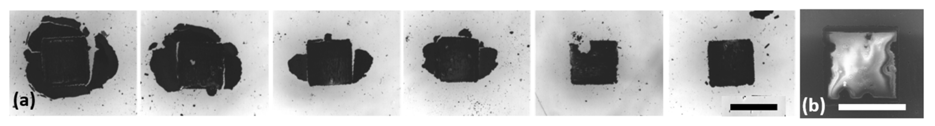 Nanomaterials 12 02830 g003 550