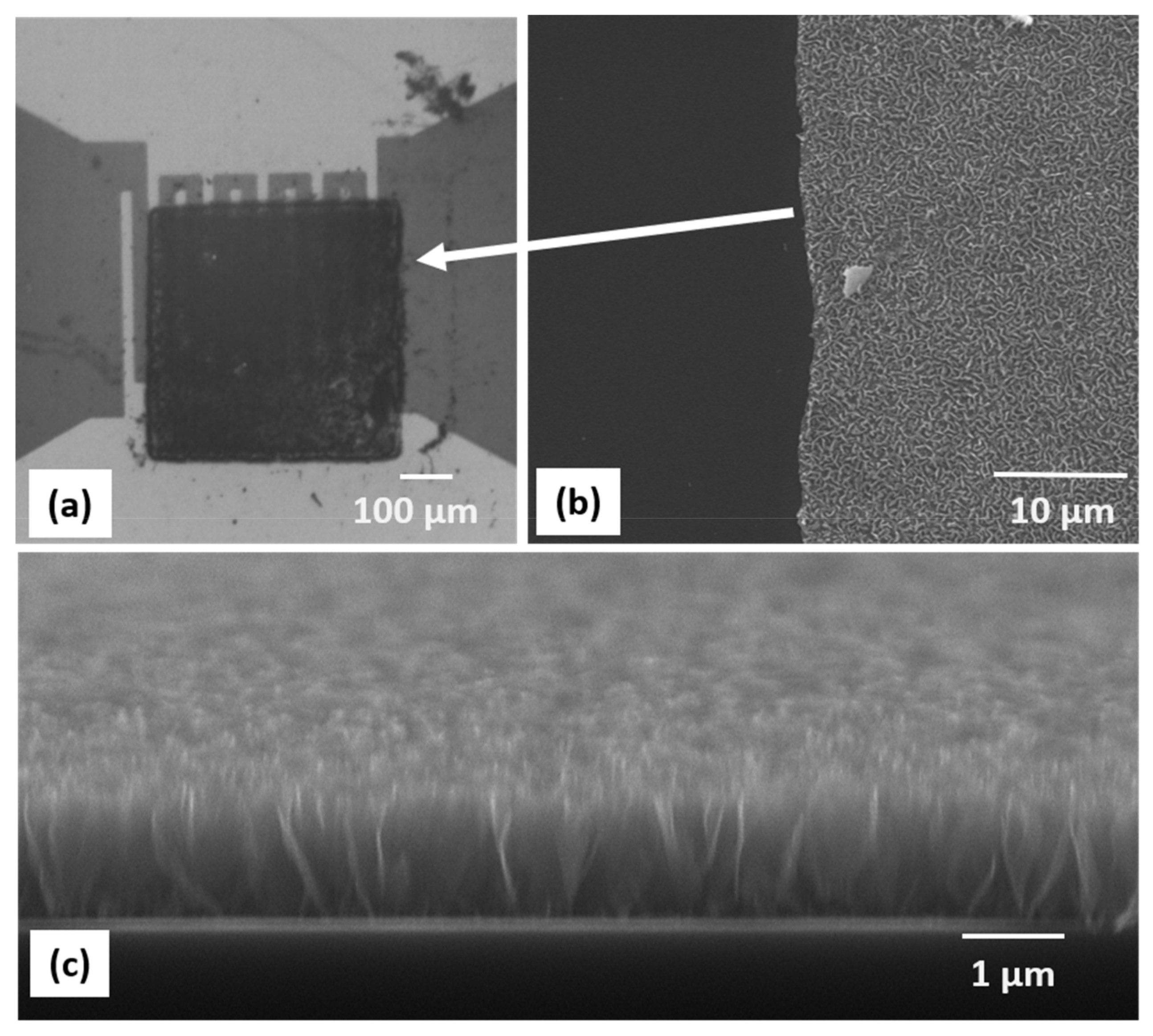 Nanomaterials 12 02830 g005 550