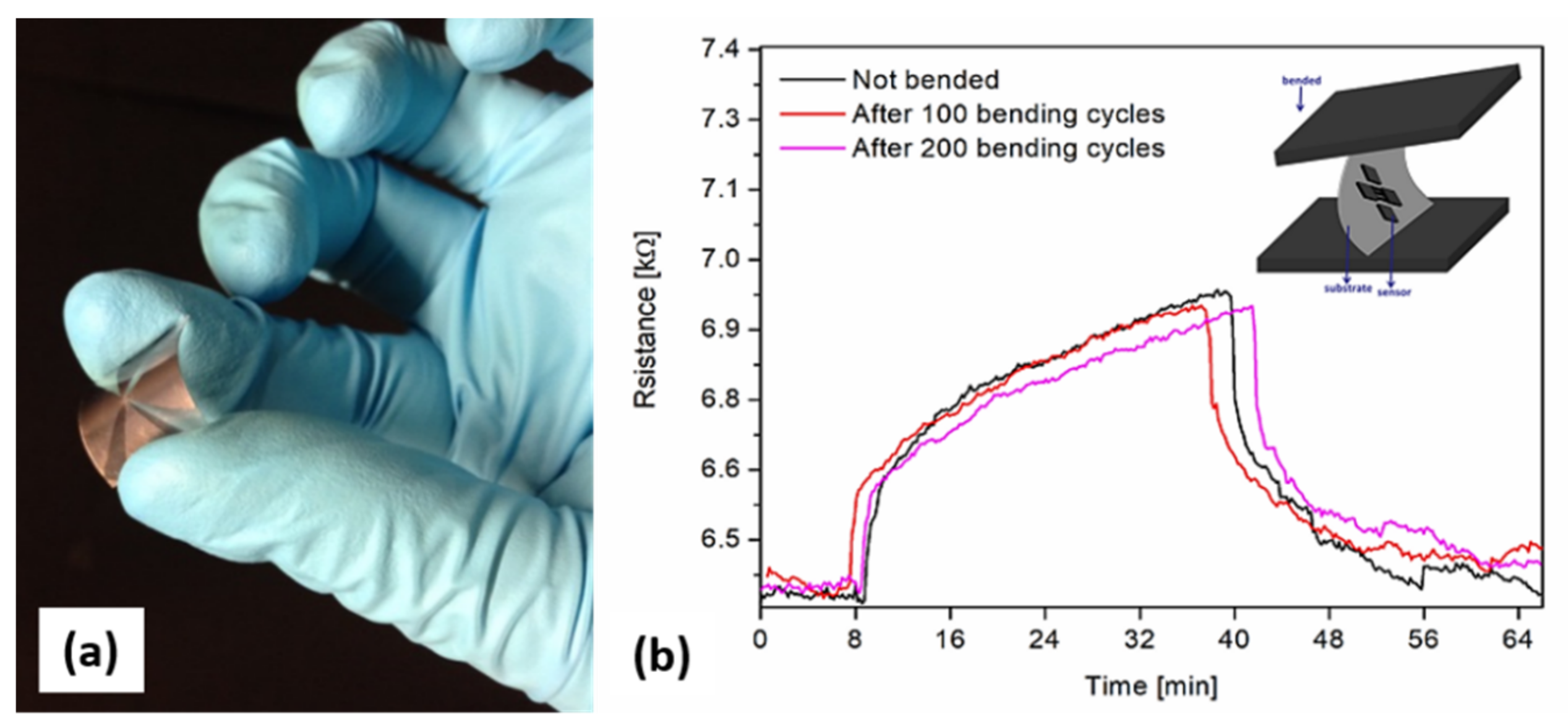 Nanomaterials 12 02830 g007 550