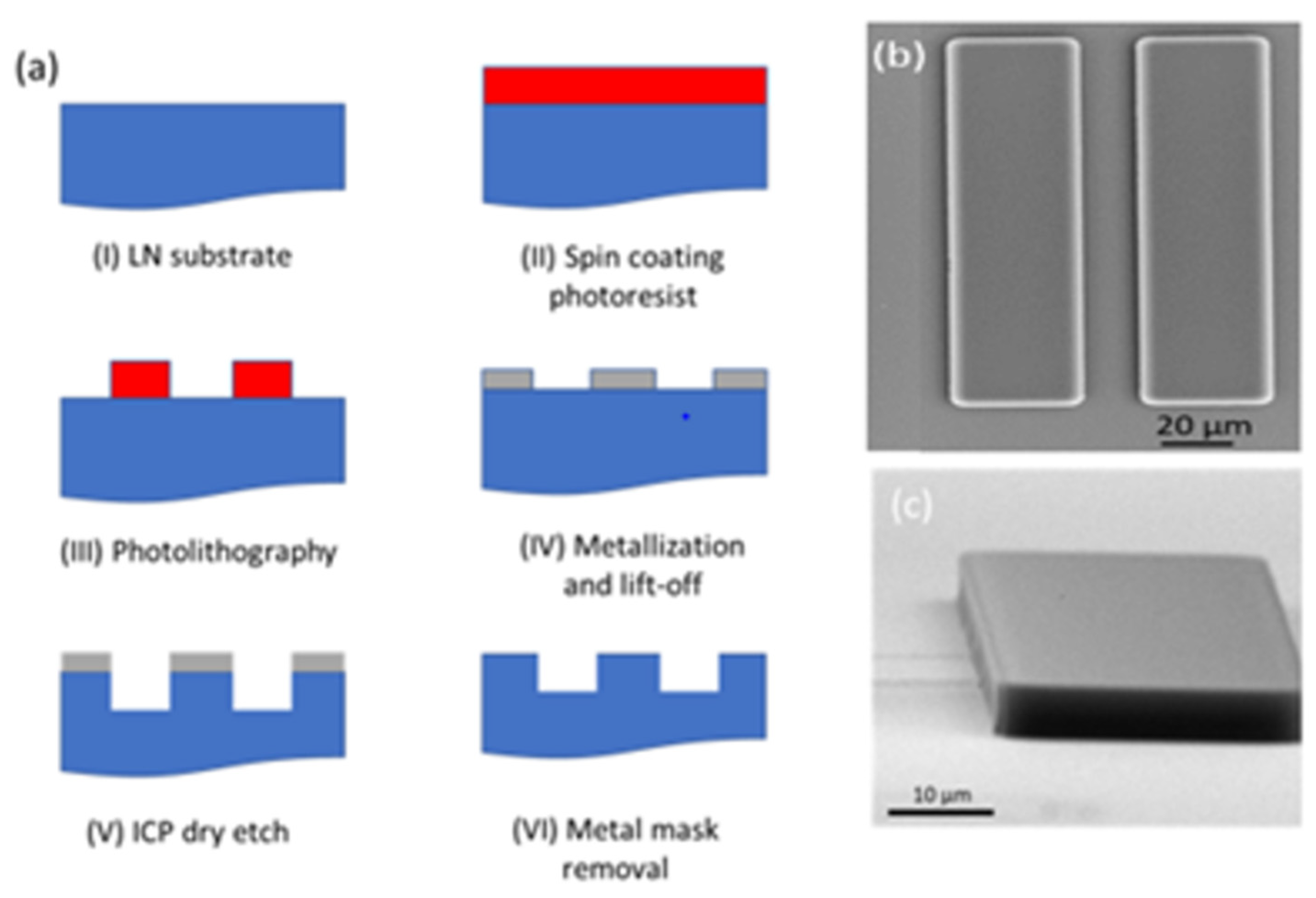 Nanomaterials 12 02836 g001